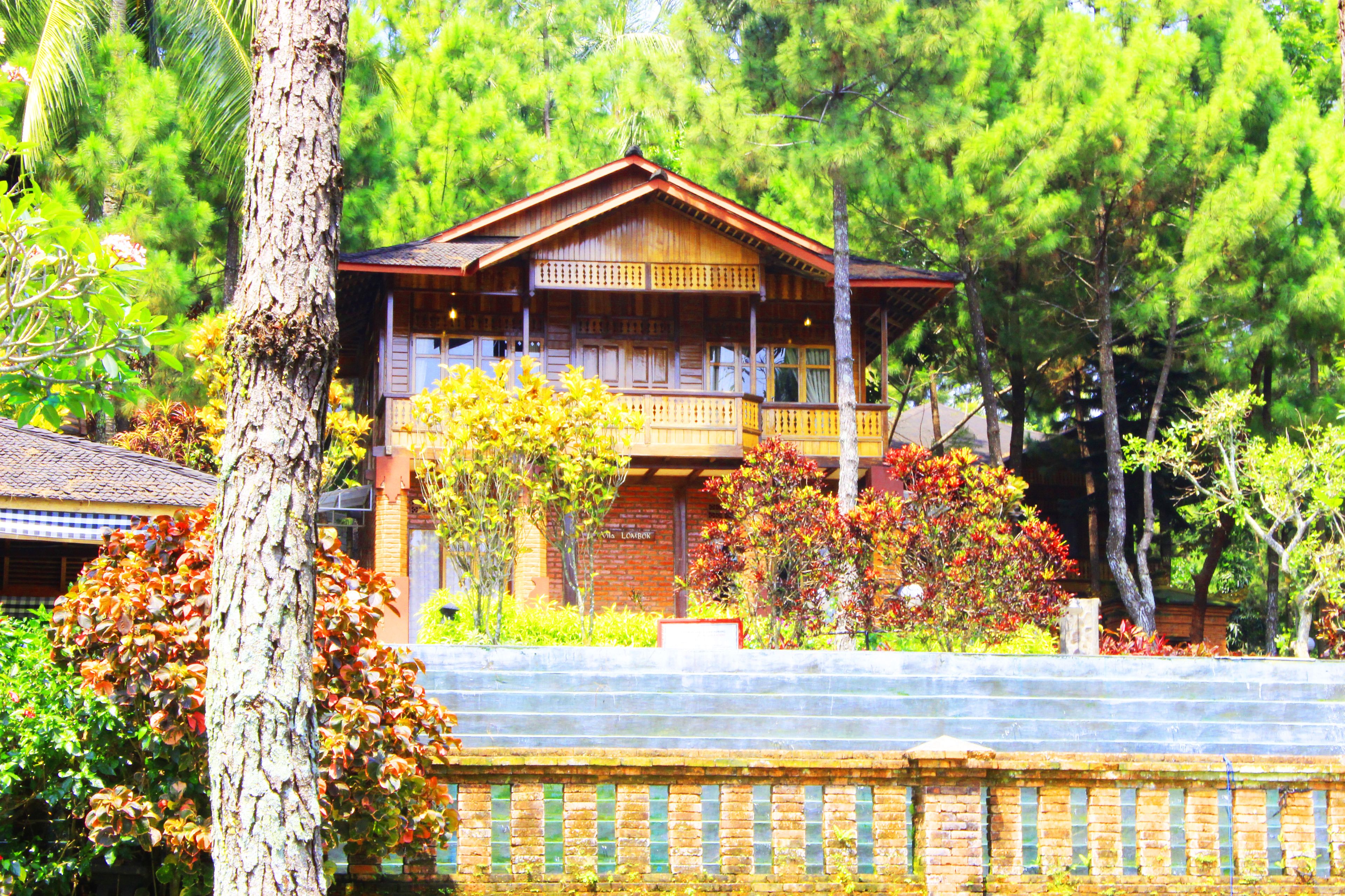 3 Bedroom Superior Villa | View from room