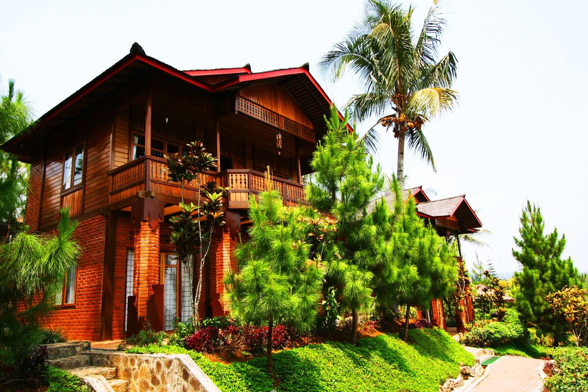 A wooden house with a balcony, surrounded by lush greenery and a palm tree.