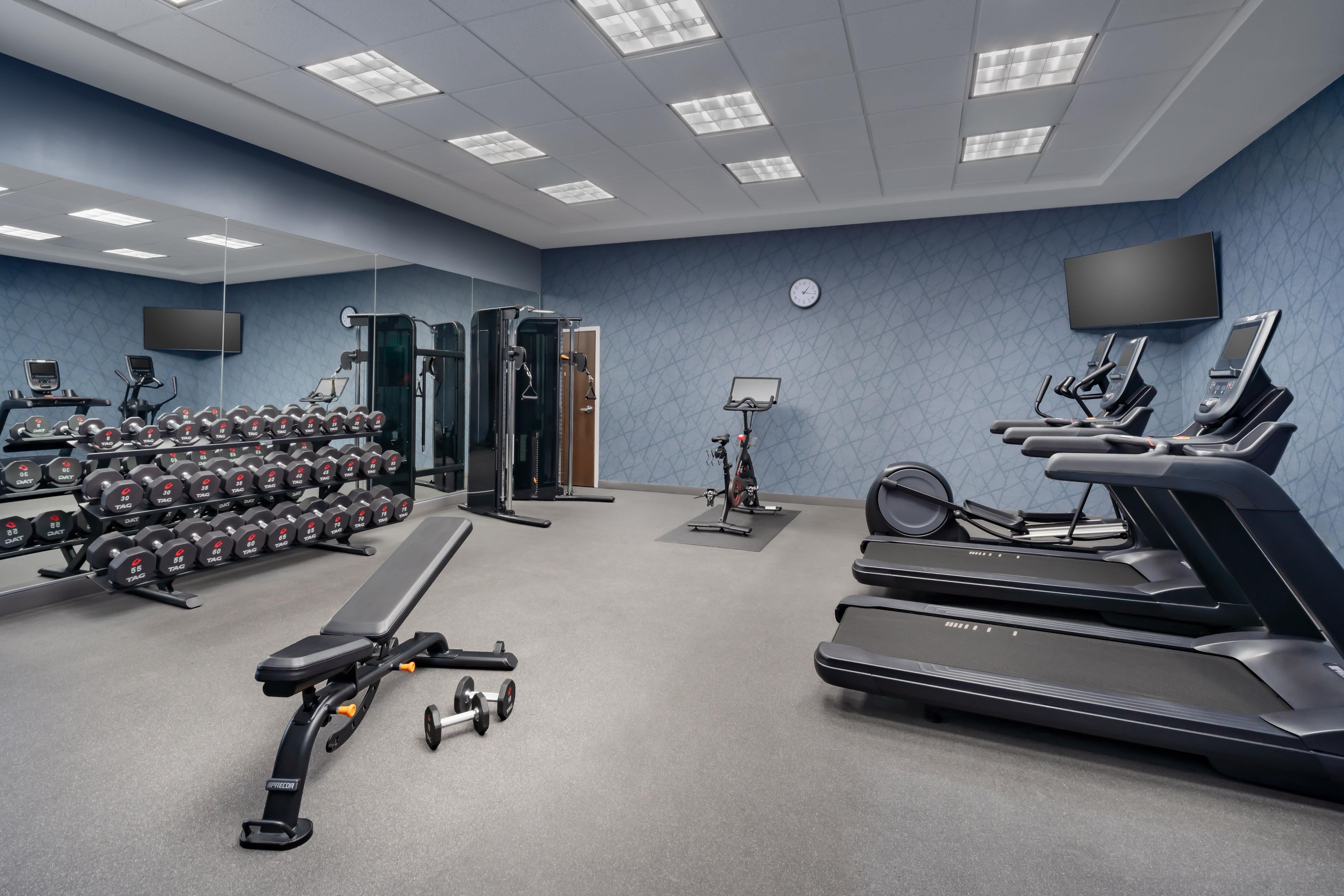 A gym with treadmills, dumbbells, and exercise equipment.
