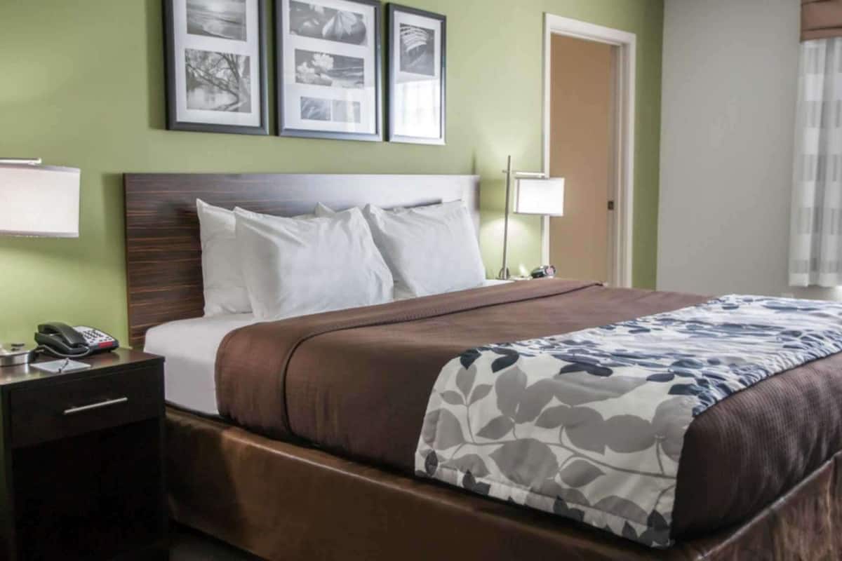 Suite, 1 King Bed with Sofa bed, Accessible, Non Smoking | Premium bedding, down comforters, desk, laptop workspace