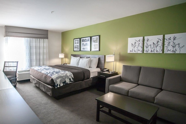 Suite, 1 King Bed with Sofa bed, Non Smoking | 1 bedroom, premium bedding, down comforters, desk