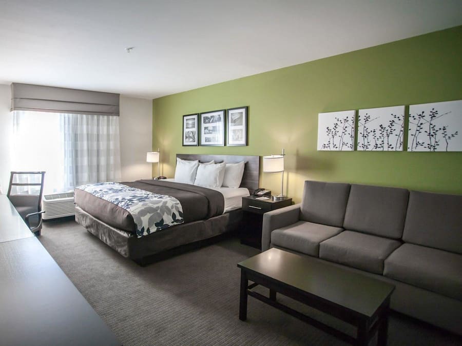 Suite, 1 King Bed with Sofa bed, Non Smoking | 1 bedroom, premium bedding, down comforters, desk