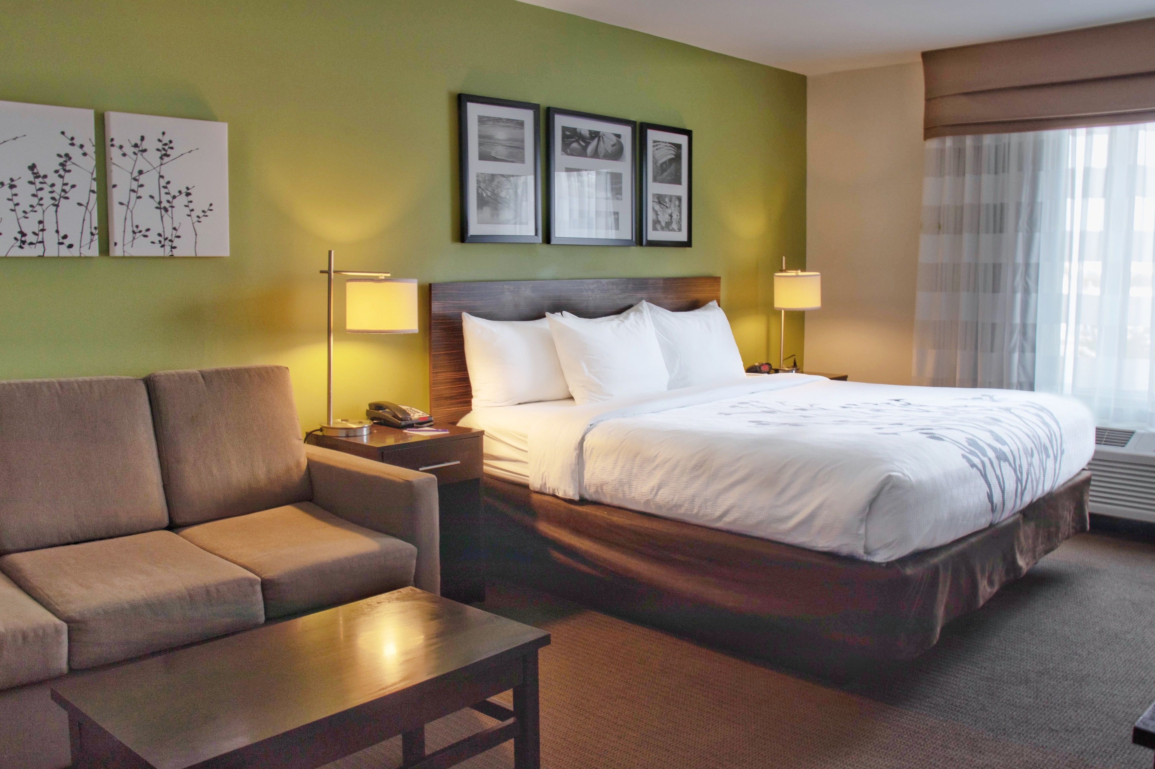 suite, 1 king bed with sofa bed, non smoking | 1 bedroom, premium bedding, down duvets, desk