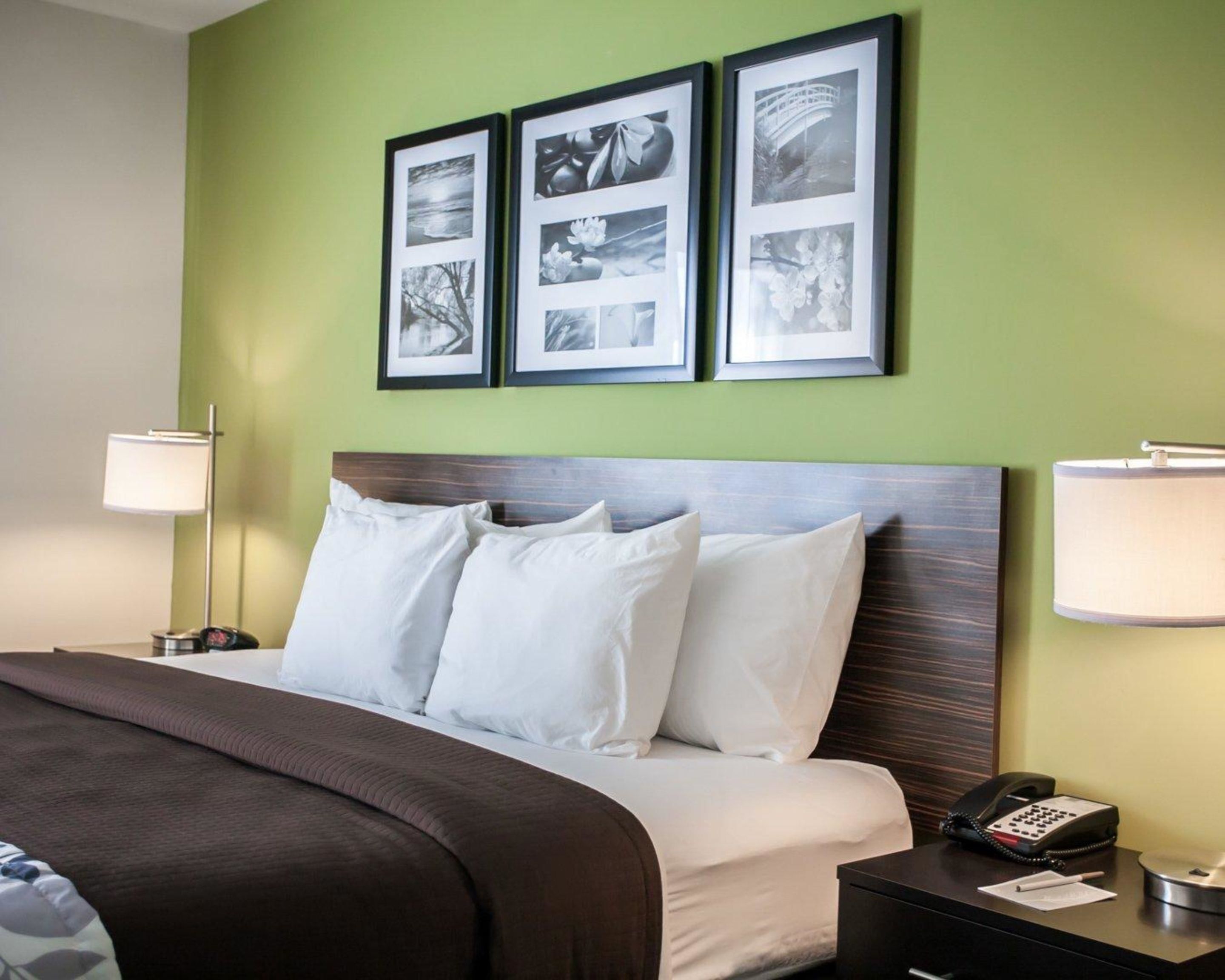 suite, 1 king bed with sofa bed, non smoking | 1 bedroom, premium bedding, down duvets, desk