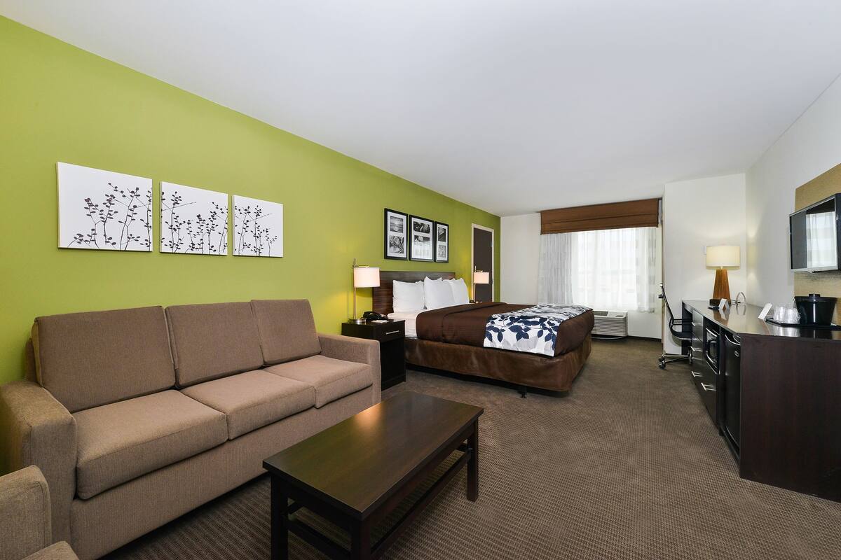 A hotel room with a green wall, a sofa, a bed with a blue and white blanket, a desk with a lamp, and a television.
