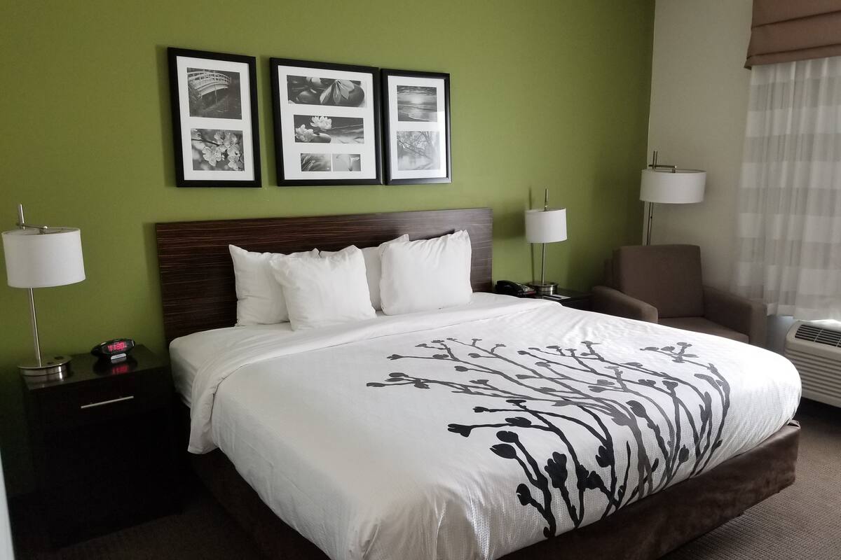 Standard Room, 1 King Bed, Non Smoking | 1 bedroom, premium bedding, down comforters, desk