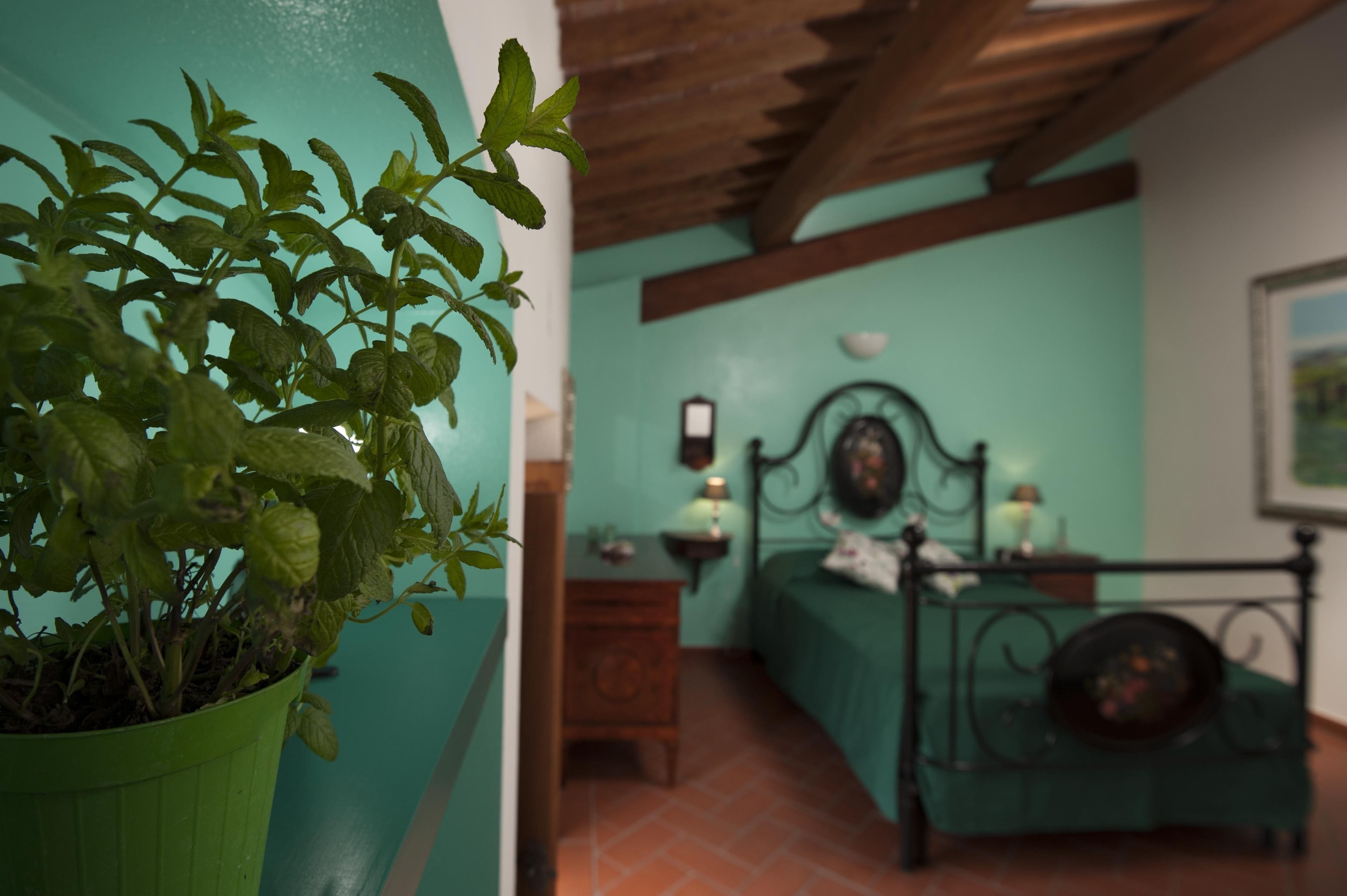 A room with a bed, bedside table, lamp, and a potted plant.