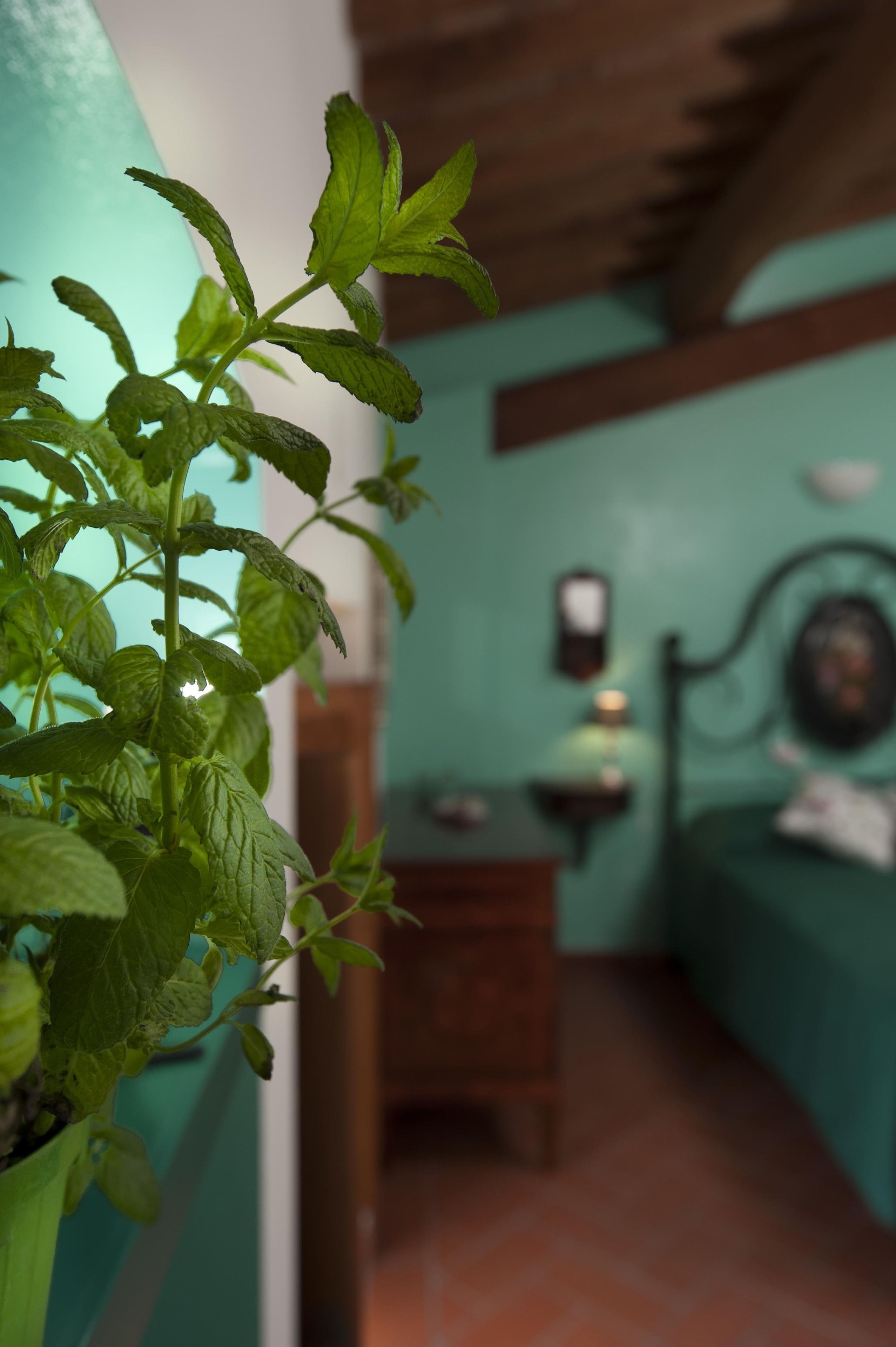 Een kamer met een bed, een nachtkastje en een bloempot.