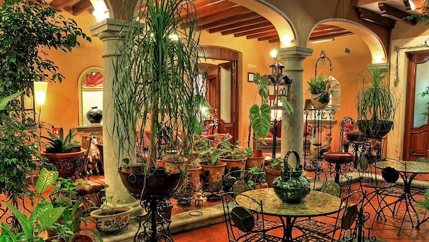 Une cour dotée de nombreuses tables et chaises, entourée de plantes en pot et agrémentée de divers objets décoratifs.