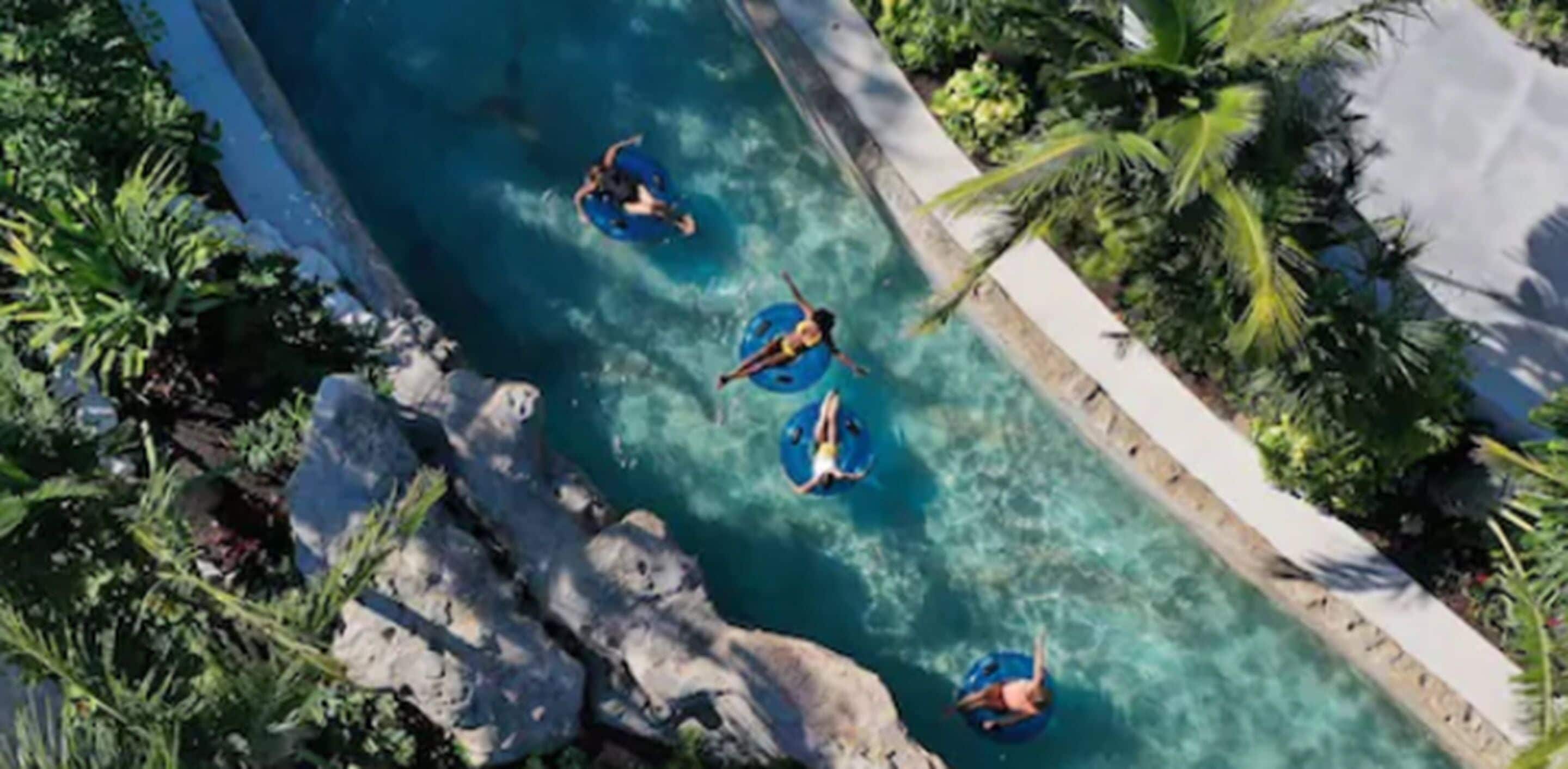 Vue aérienne d’une piscine entourée de rochers et de palmiers.