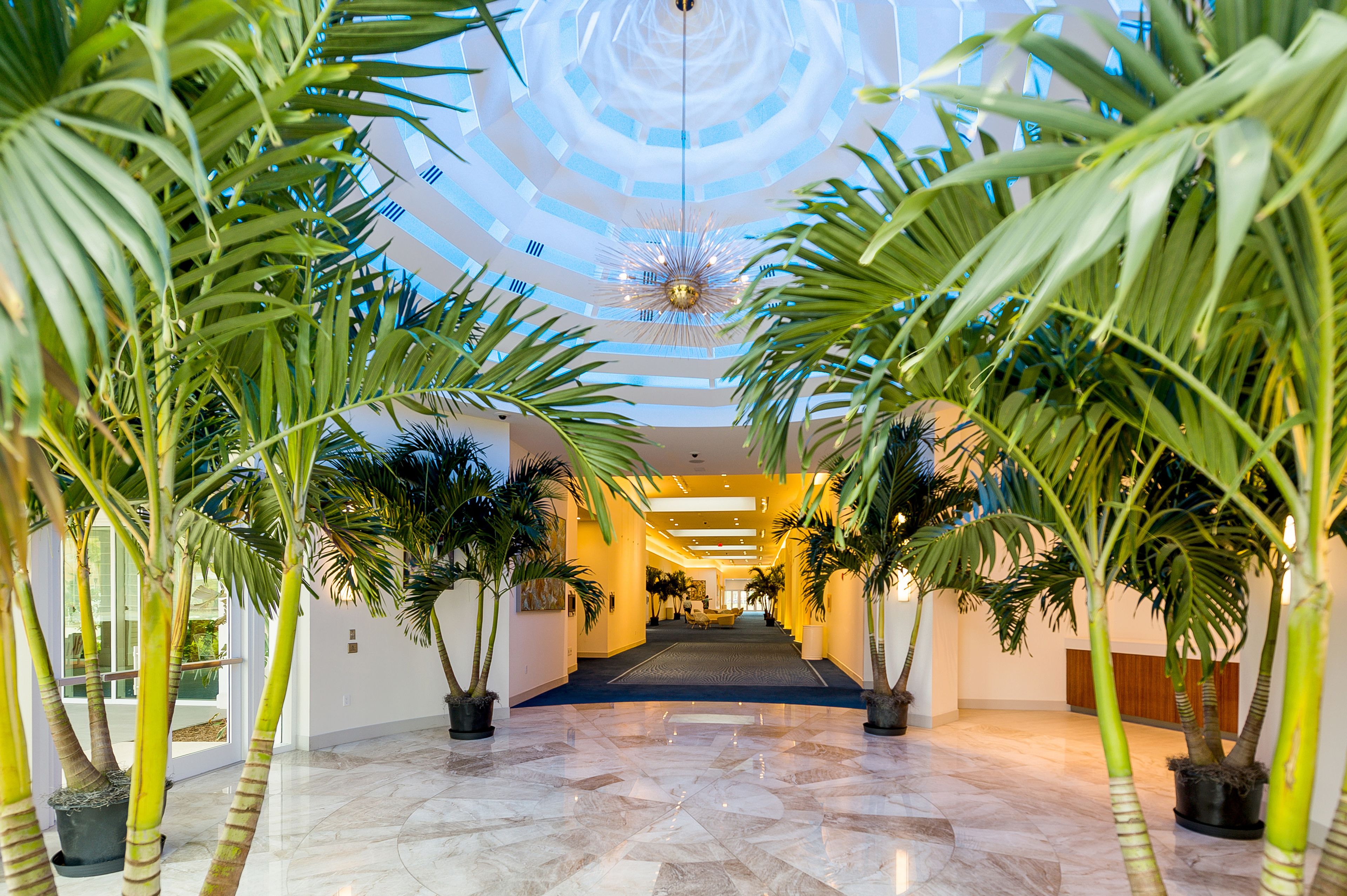 Foto - Grand Hyatt Baha Mar