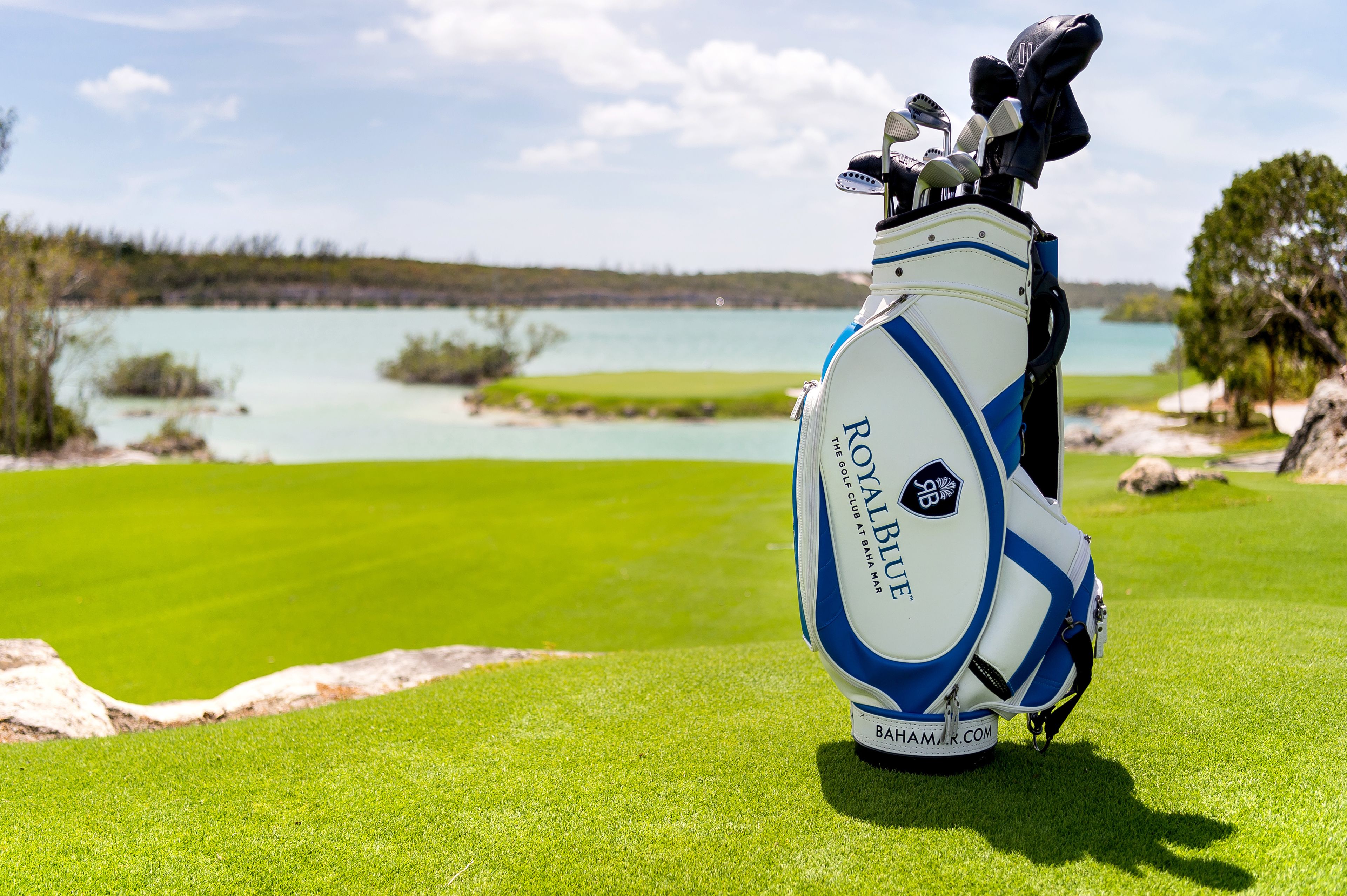 A golf bag on a green with a lake and trees in the background.