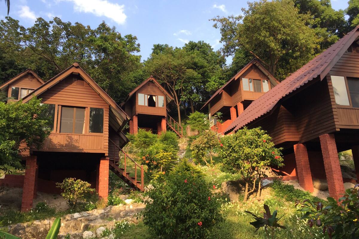 A row of wooden cabins with balconies, surrounded by lush greenery and trees.