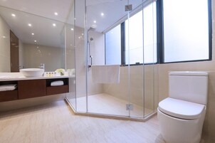 A modern bathroom with a glass-enclosed shower, a white toilet, and a large mirror.