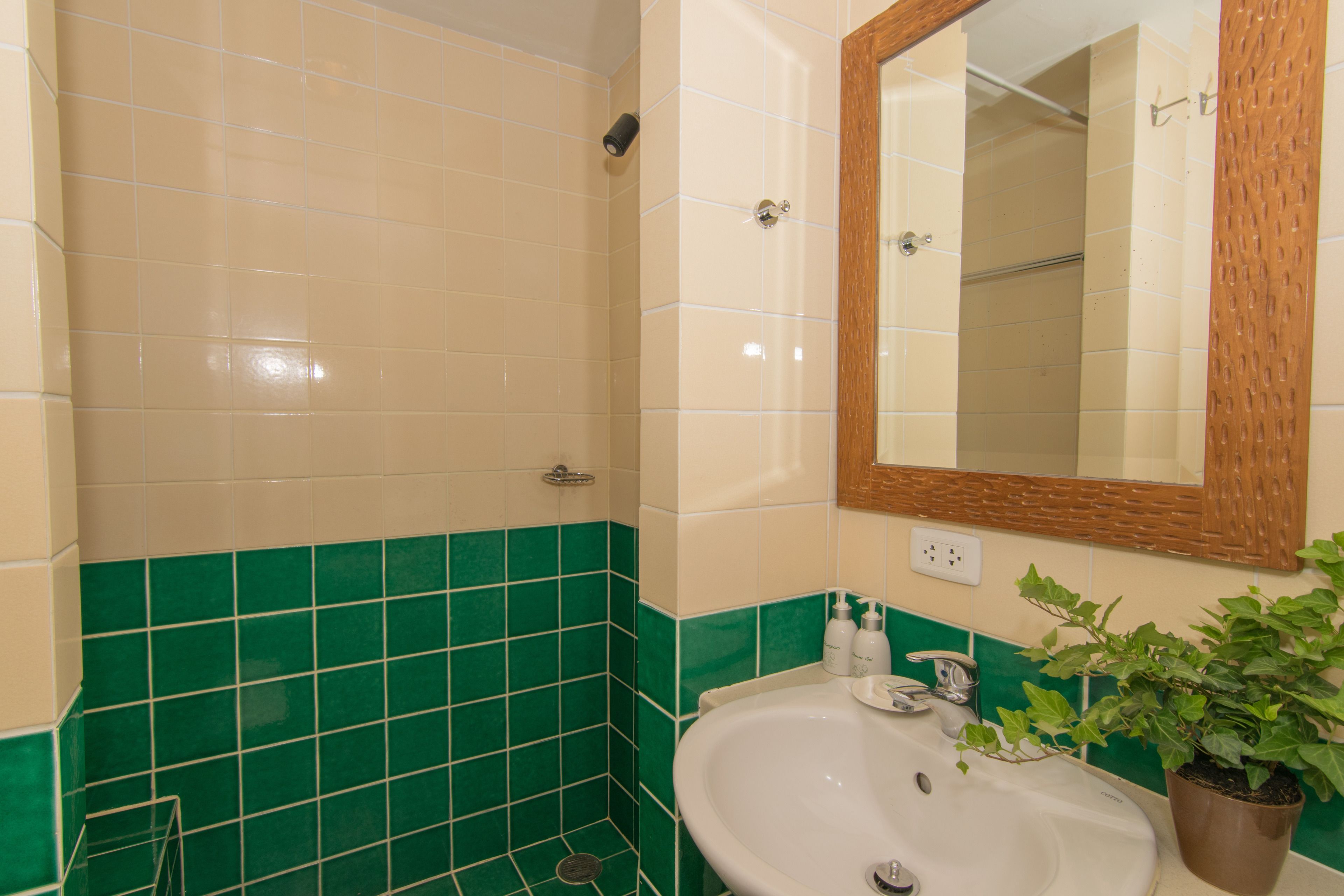 free toiletries, hair dryer, towels