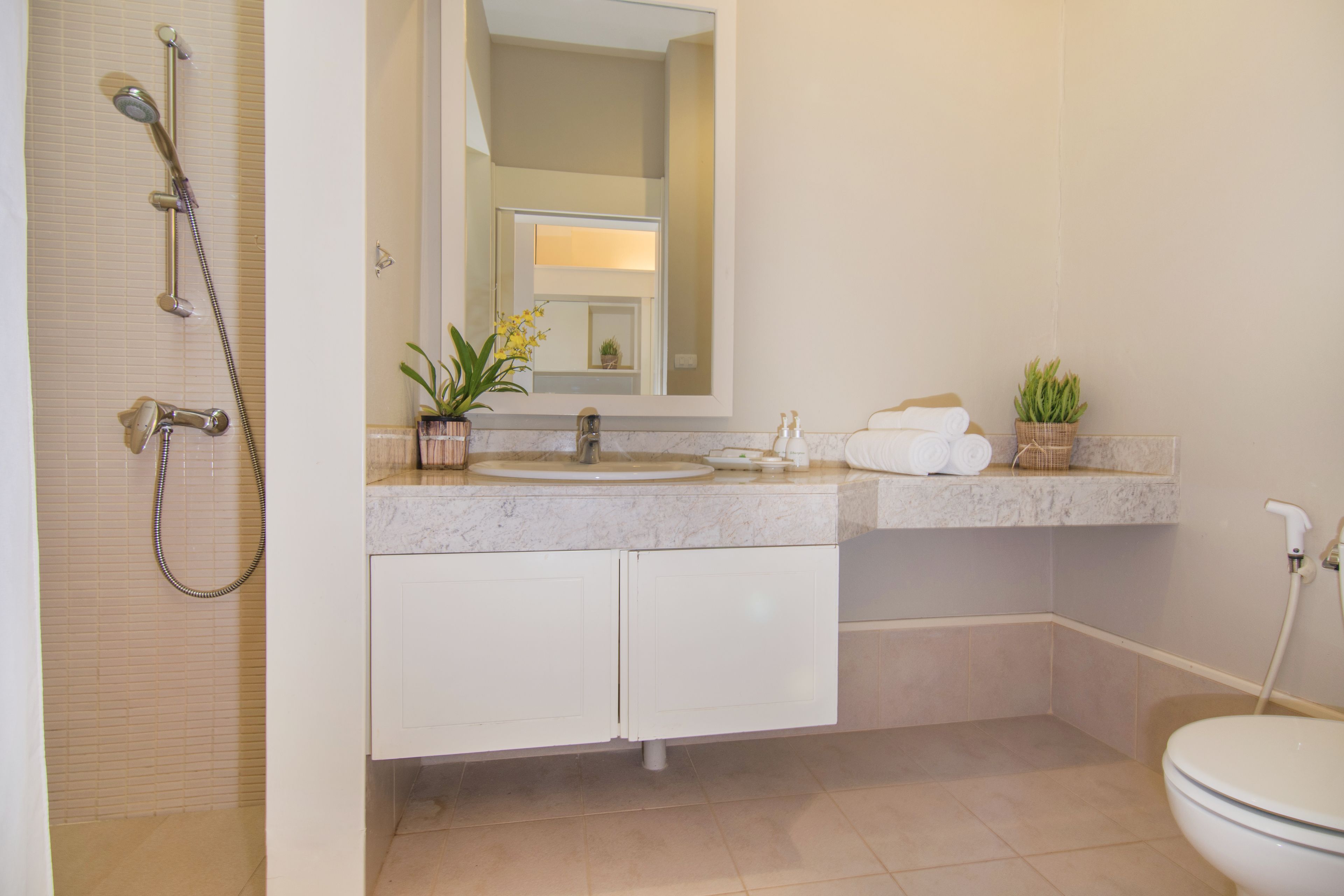 premier deluxe | bathroom sink