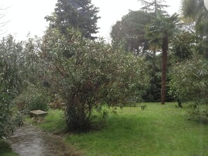 Jardin