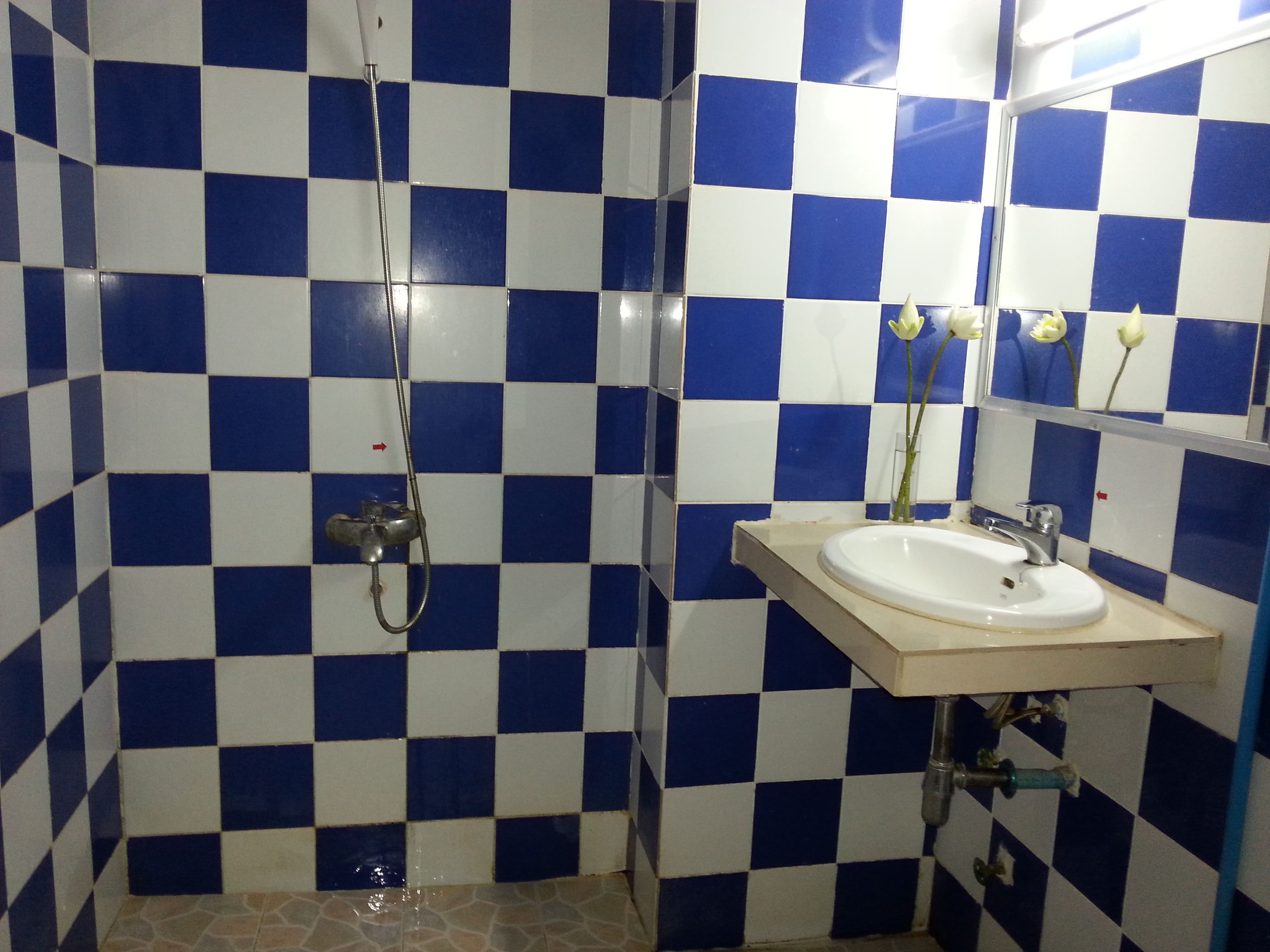 superior twin room, 2 single beds, balcony, city view | bathroom | shower, hydromassage showerhead, free toiletries, hair dryer