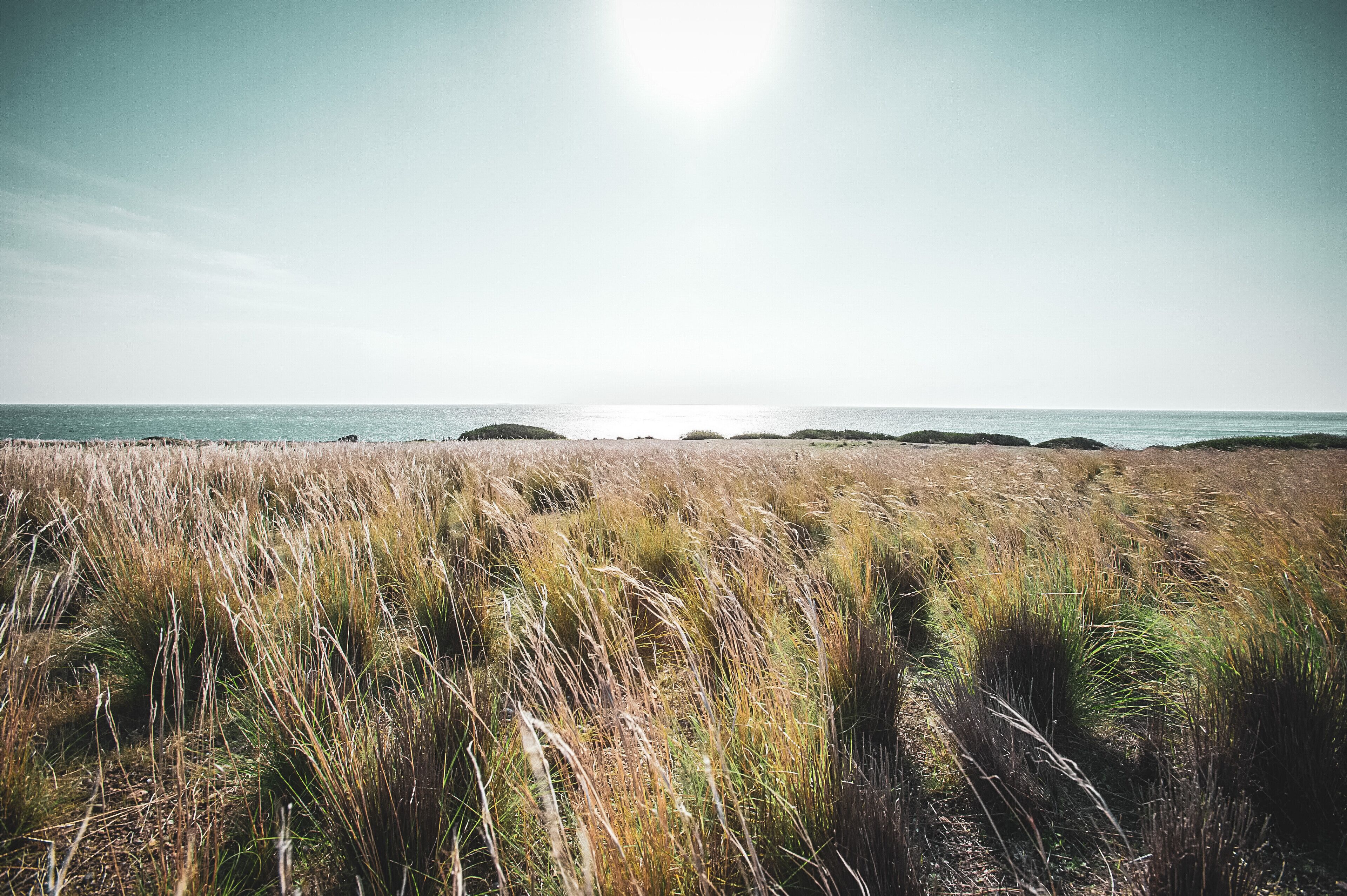 Foto - Numo Ierapetra Beach Resort Crete, Adults only, Curio Collection Hilton