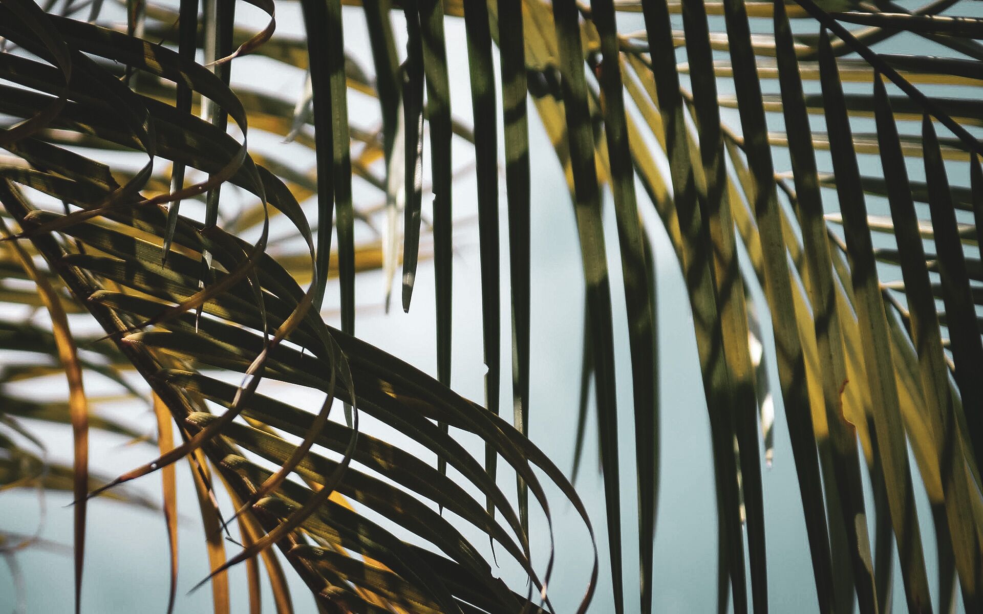 Foto - Numo Ierapetra Beach Resort Crete, Adults only, Curio Collection Hilton