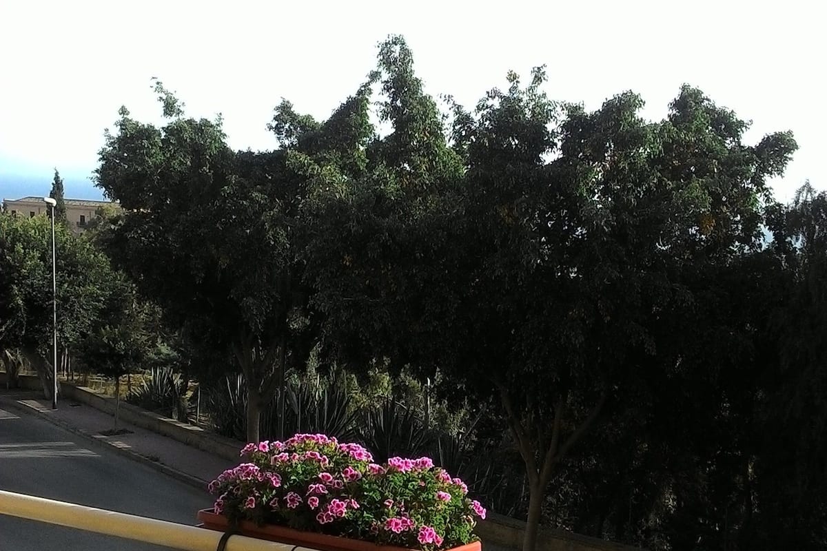 A balcony with a table set for breakfast, including plates, cups, and a potted plant with pink flowers.