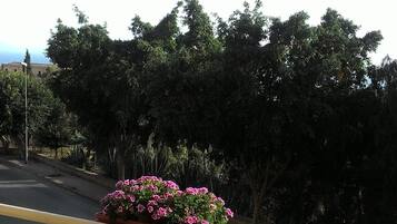 Comfort Double Room | Balcony