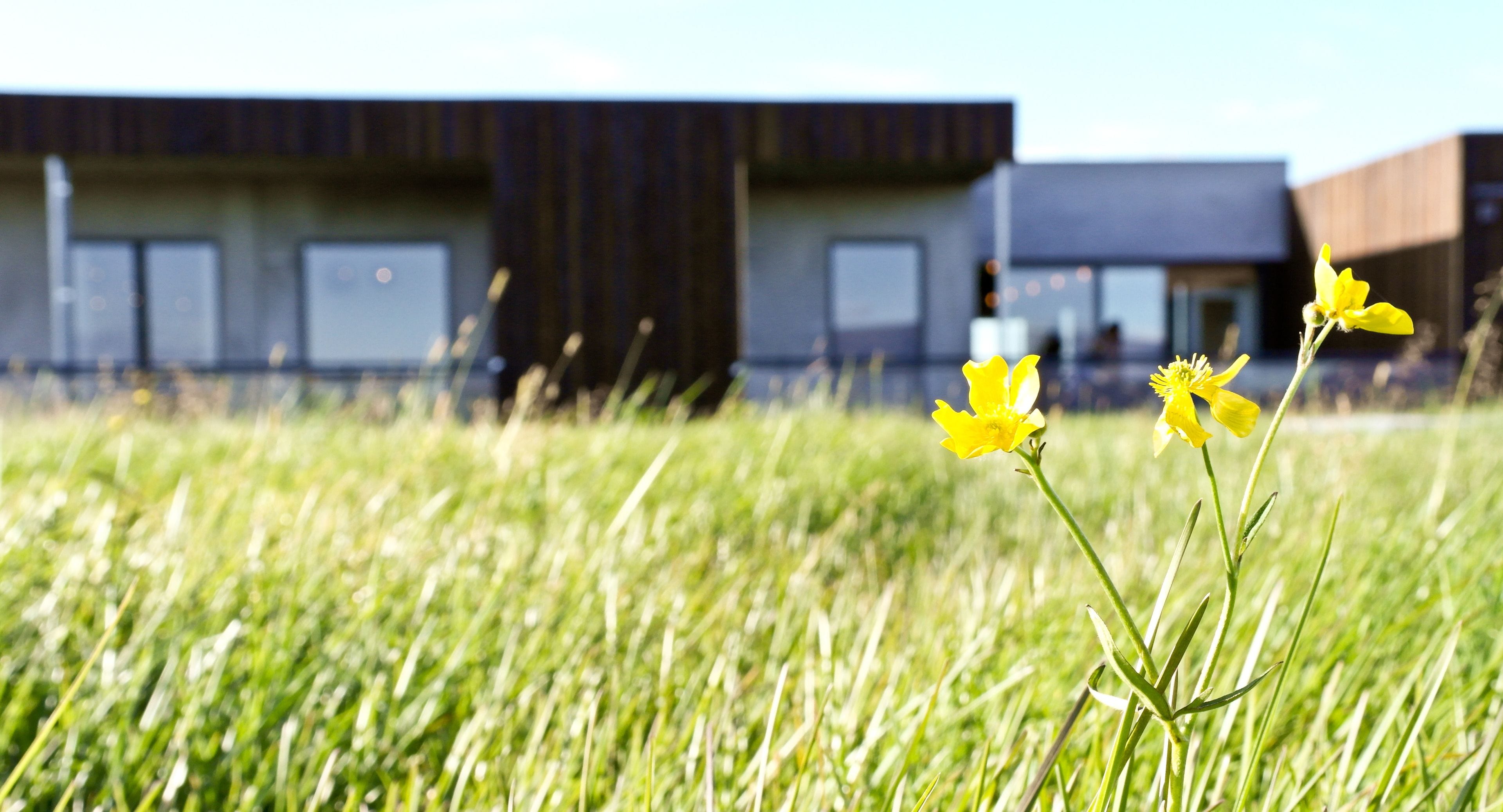 Entrada de la propiedad