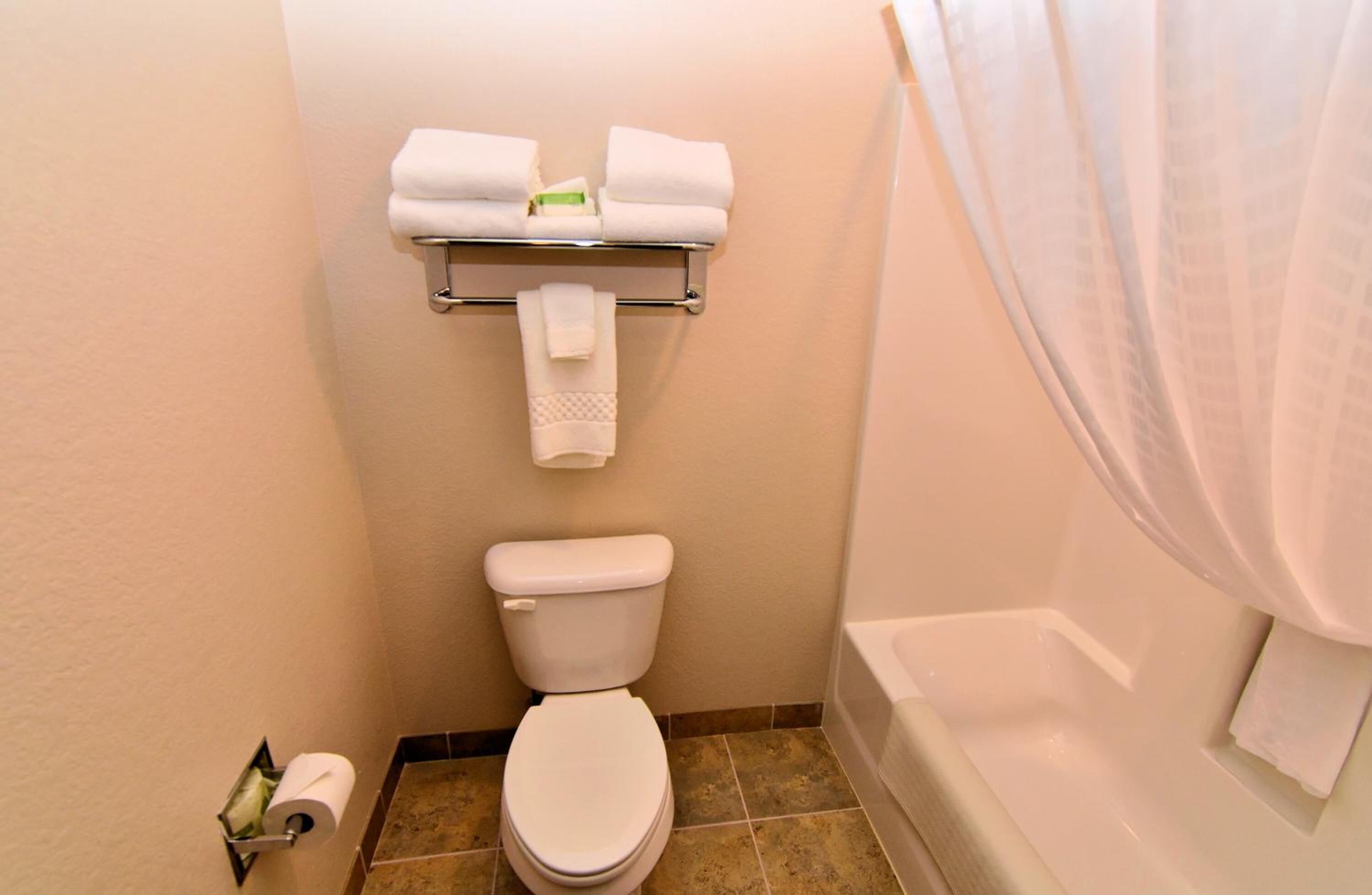 combined shower/bathtub, rainfall showerhead, designer toiletries