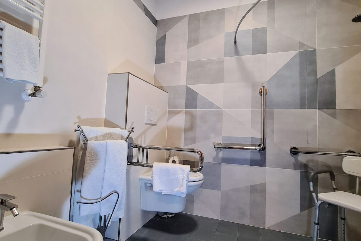 basic double room | bathroom | shower, free toiletries, hair dryer, bidet