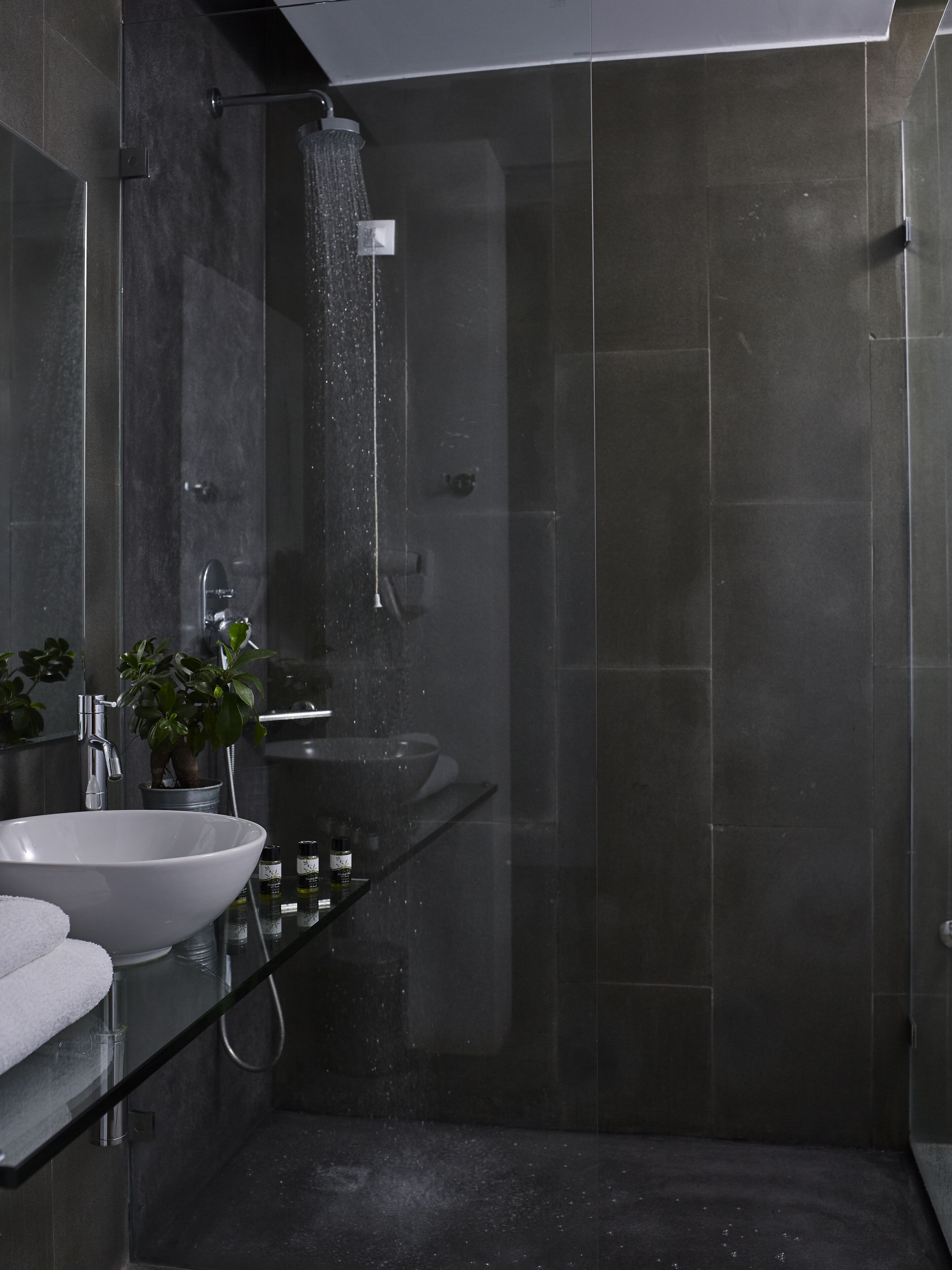 A modern bathroom with a glass-enclosed shower, a large white sink, and a small potted plant.