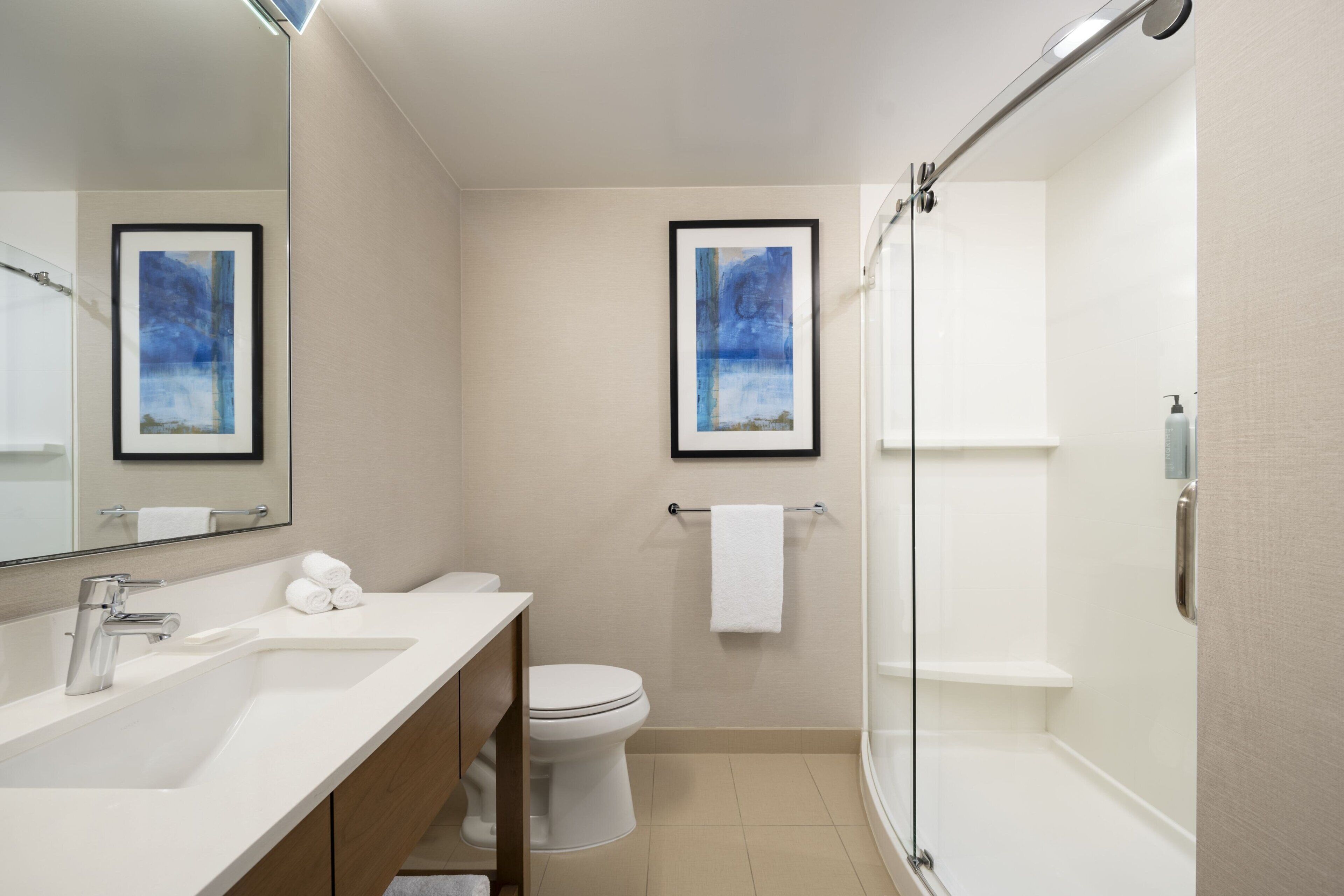 combined shower/bathtub, free toiletries, hair dryer, towels