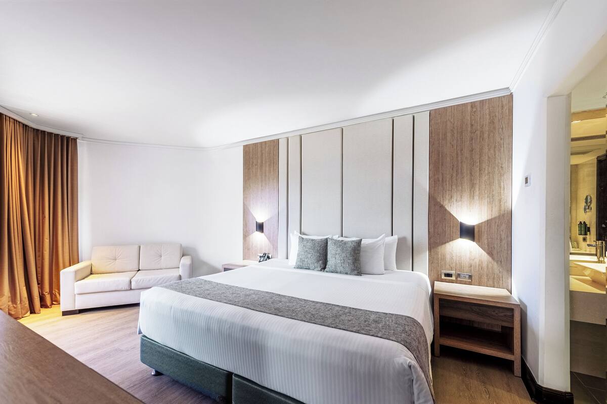 Minibar, odada kasa, dizüstü bilgisayar çalışma alanı, ütü/ütü masası 