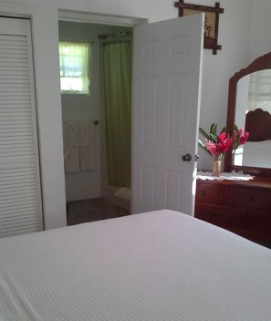 Standard Room | Desk, soundproofing, iron/ironing board, free WiFi