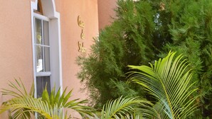 Exterior - Casa de Shalom (Ocho Rios)
