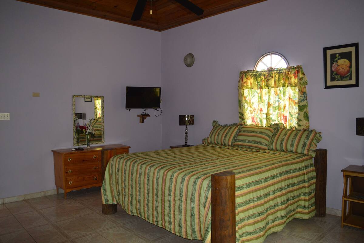 Deluxe Room | 1 bedroom, memory foam beds, blackout drapes, iron/ironing board