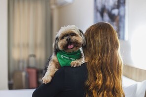 Pet-friendly amenities