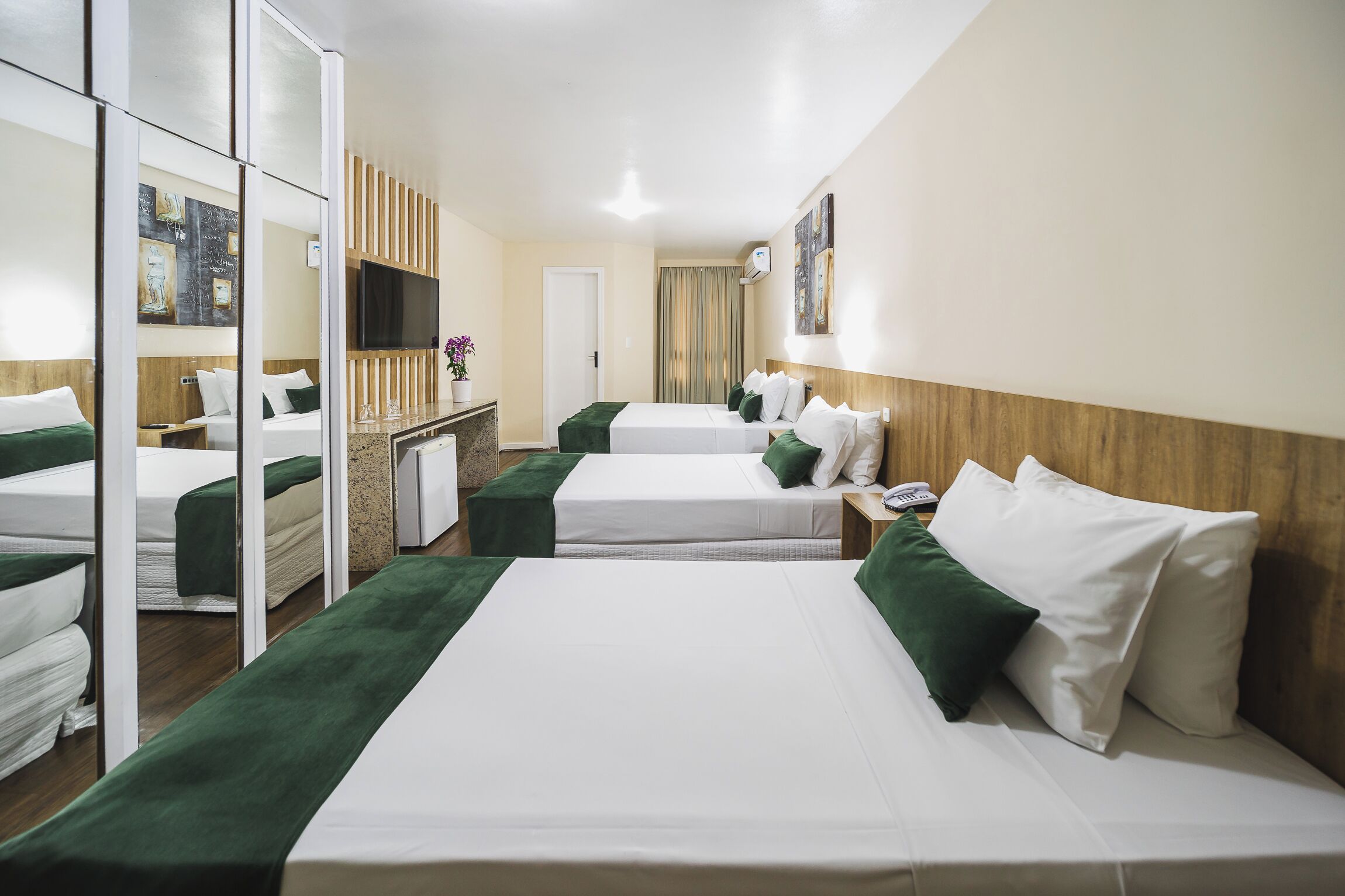 Ducha, secador de pelo, toallas