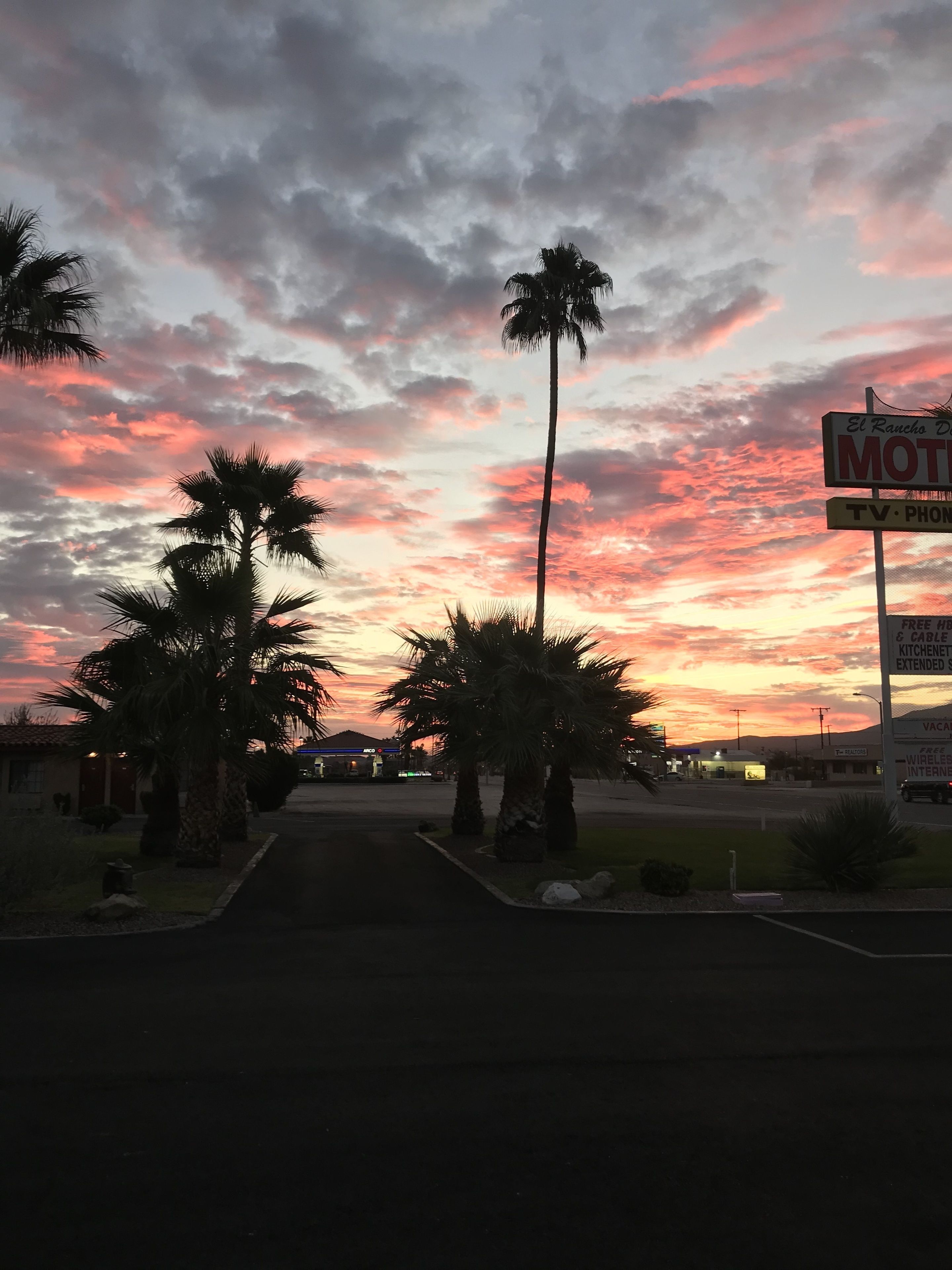 A motel with a signboard, palm trees, and a sunset sky.