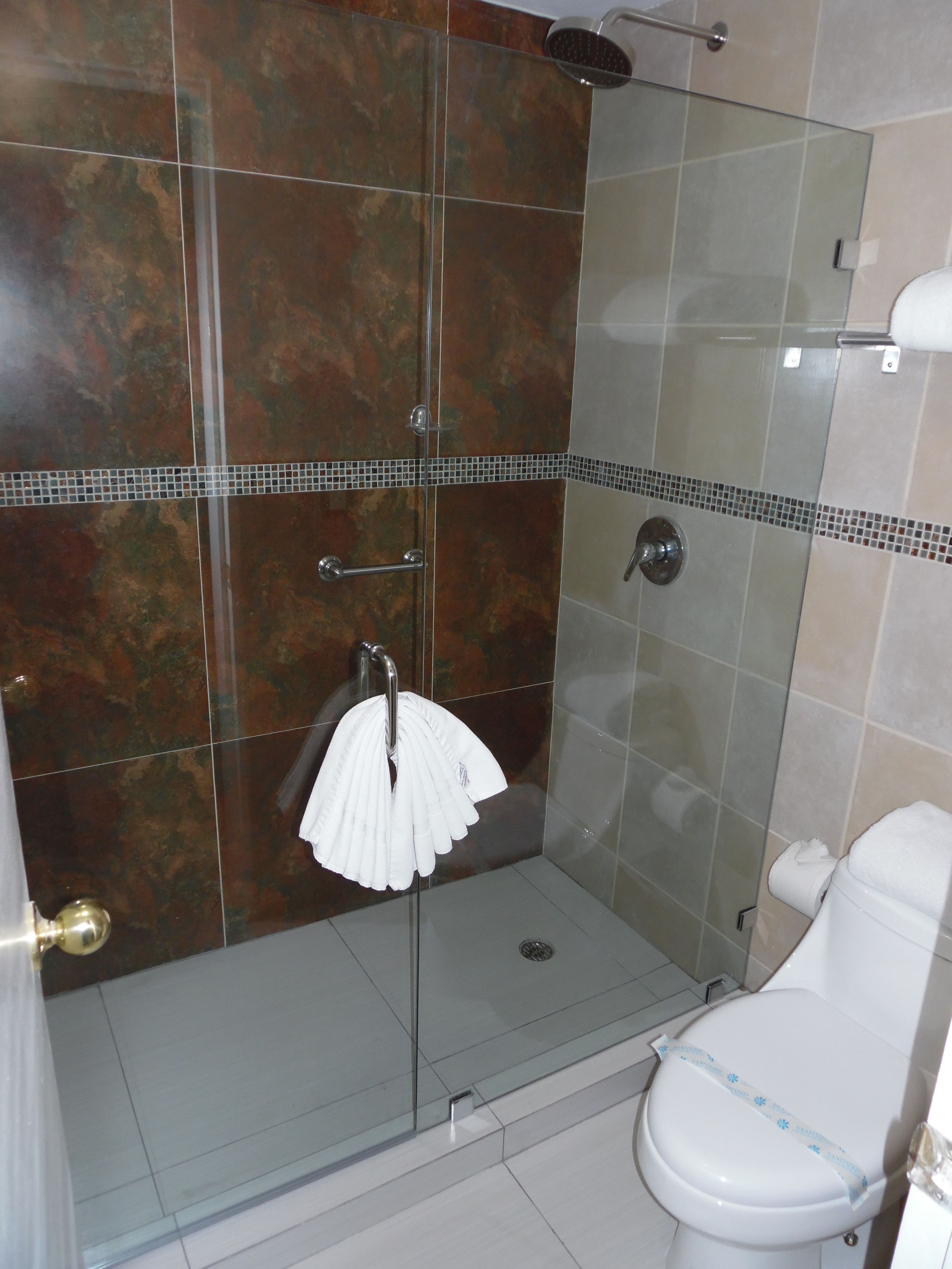 junior suite | bathroom | shower, rainfall showerhead, free toiletries, hair dryer