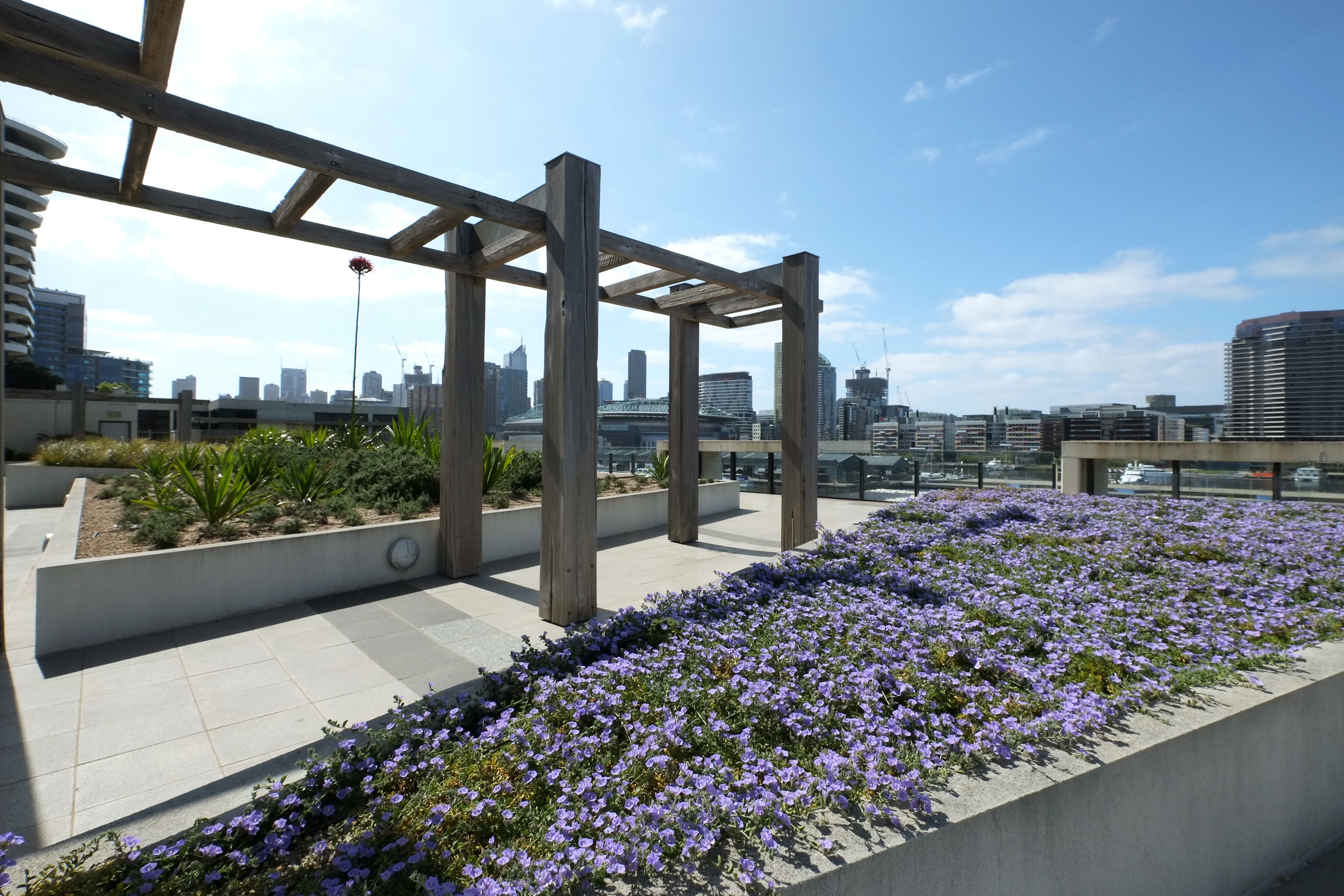 A rooftop garden with a pergola structure, city skyline in the background, and a view of the harbor.