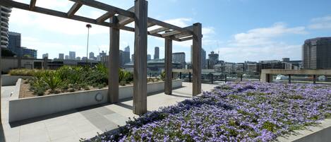 A rooftop garden with a pergola structure, city skyline in the background, and a view of the harbor.
