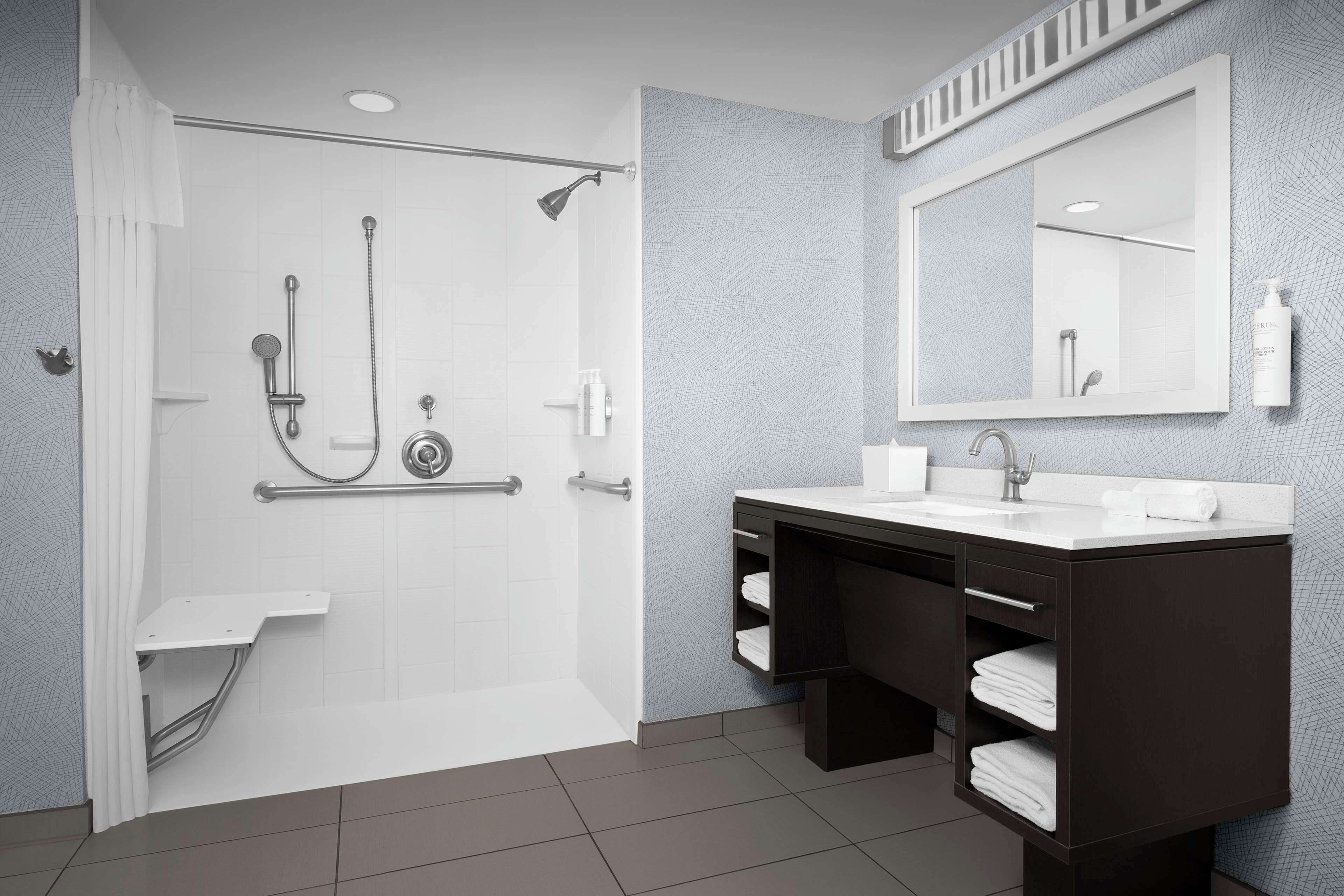 suite, accessible, non smoking | bathroom shower