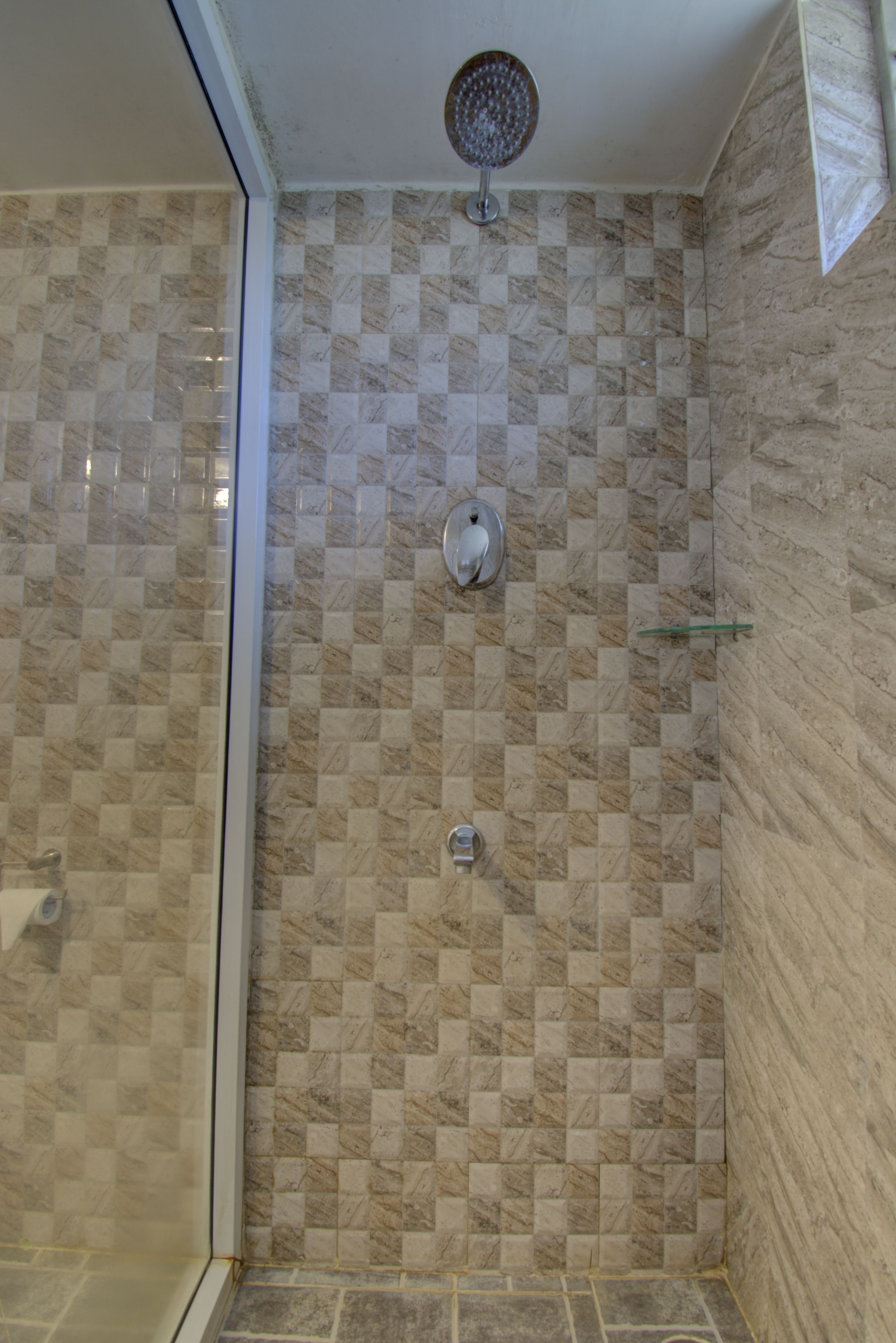 Ducha con zanjas de azulejos a cuadros, puerta de cristal y cabezal de ducha.