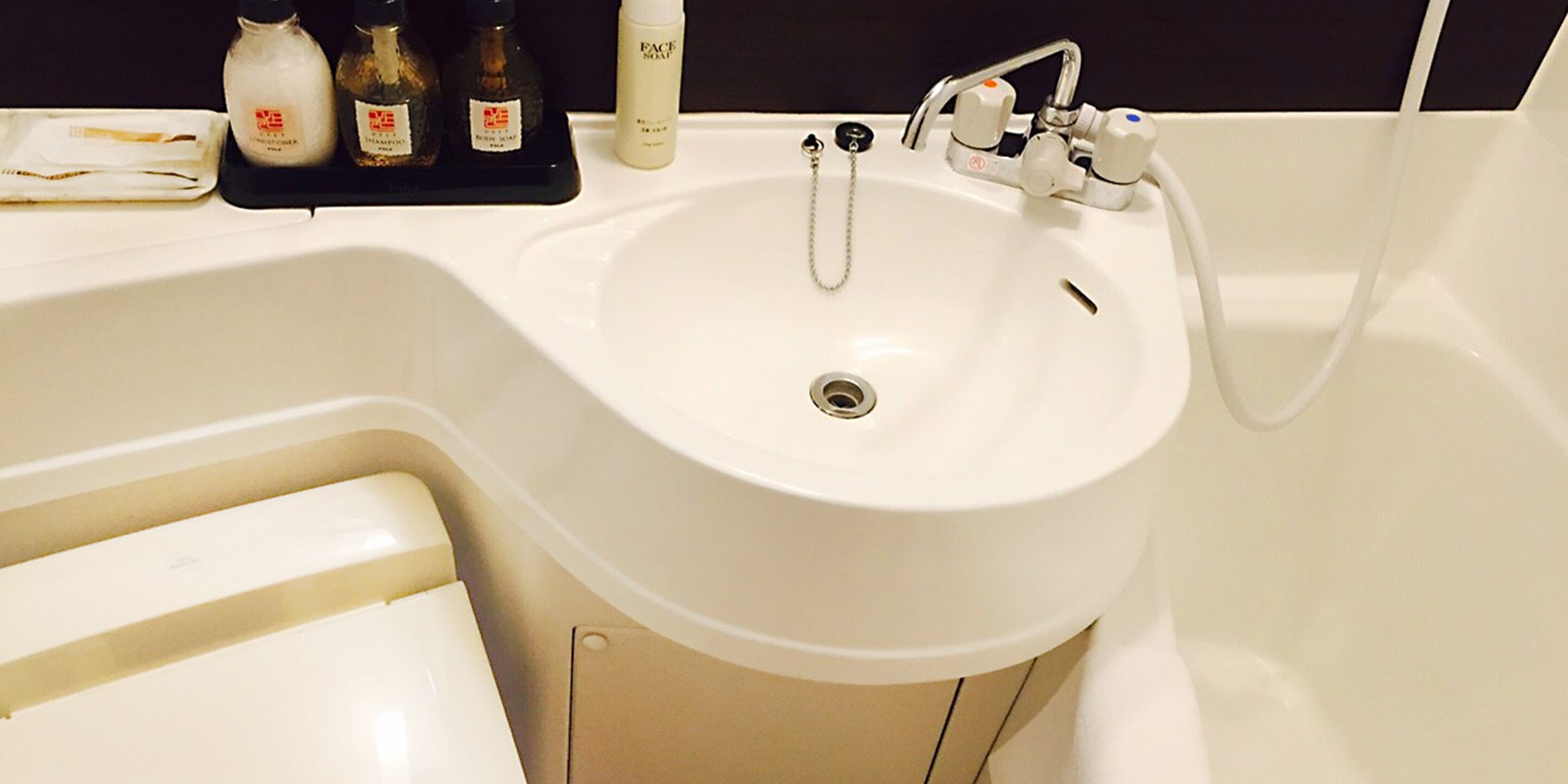 A bathroom sink with a handheld showerhead, a bottle of face wash, and a bottle of body wash.