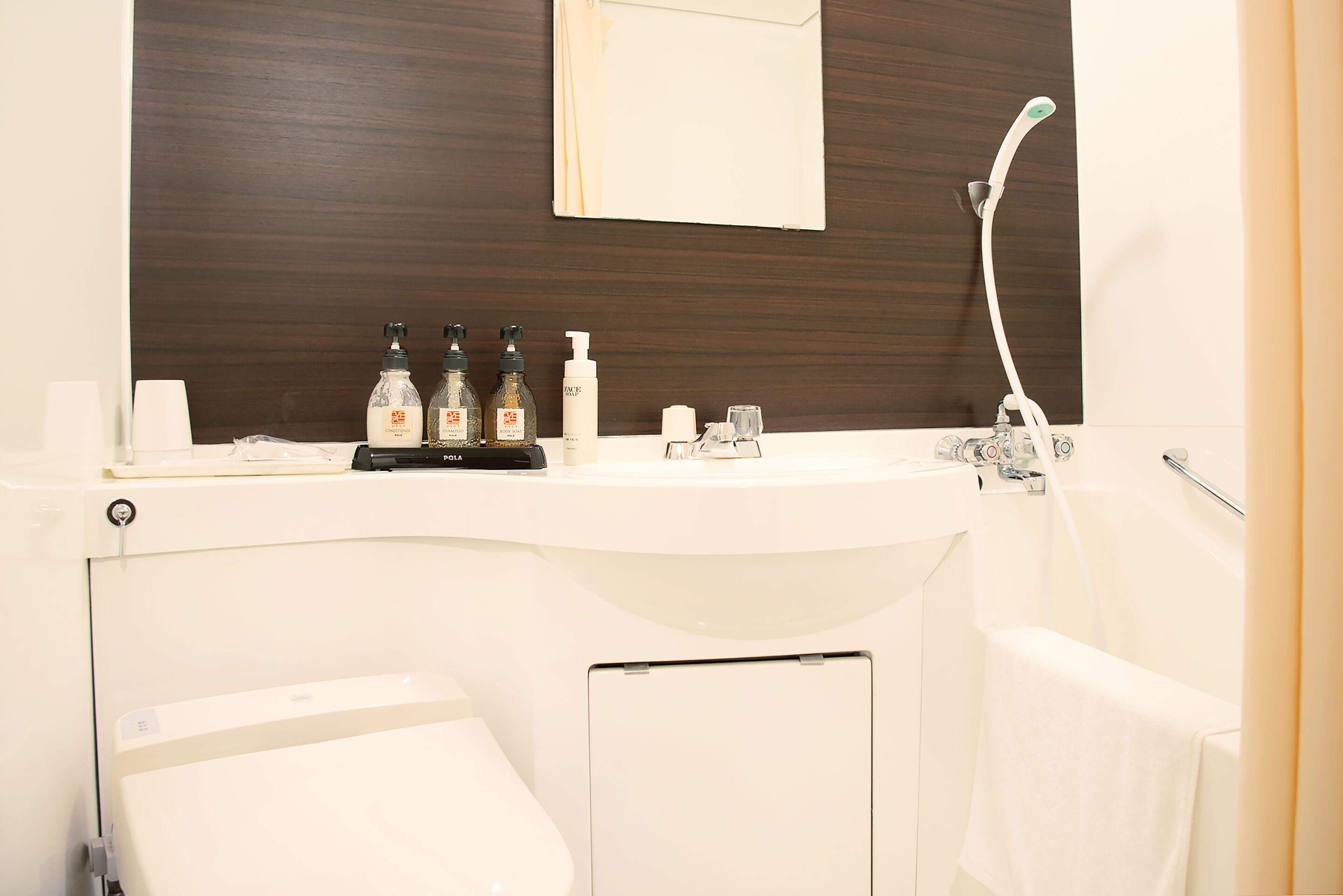 Combined shower/tub, free toiletries, hair dryer, electronic bidet