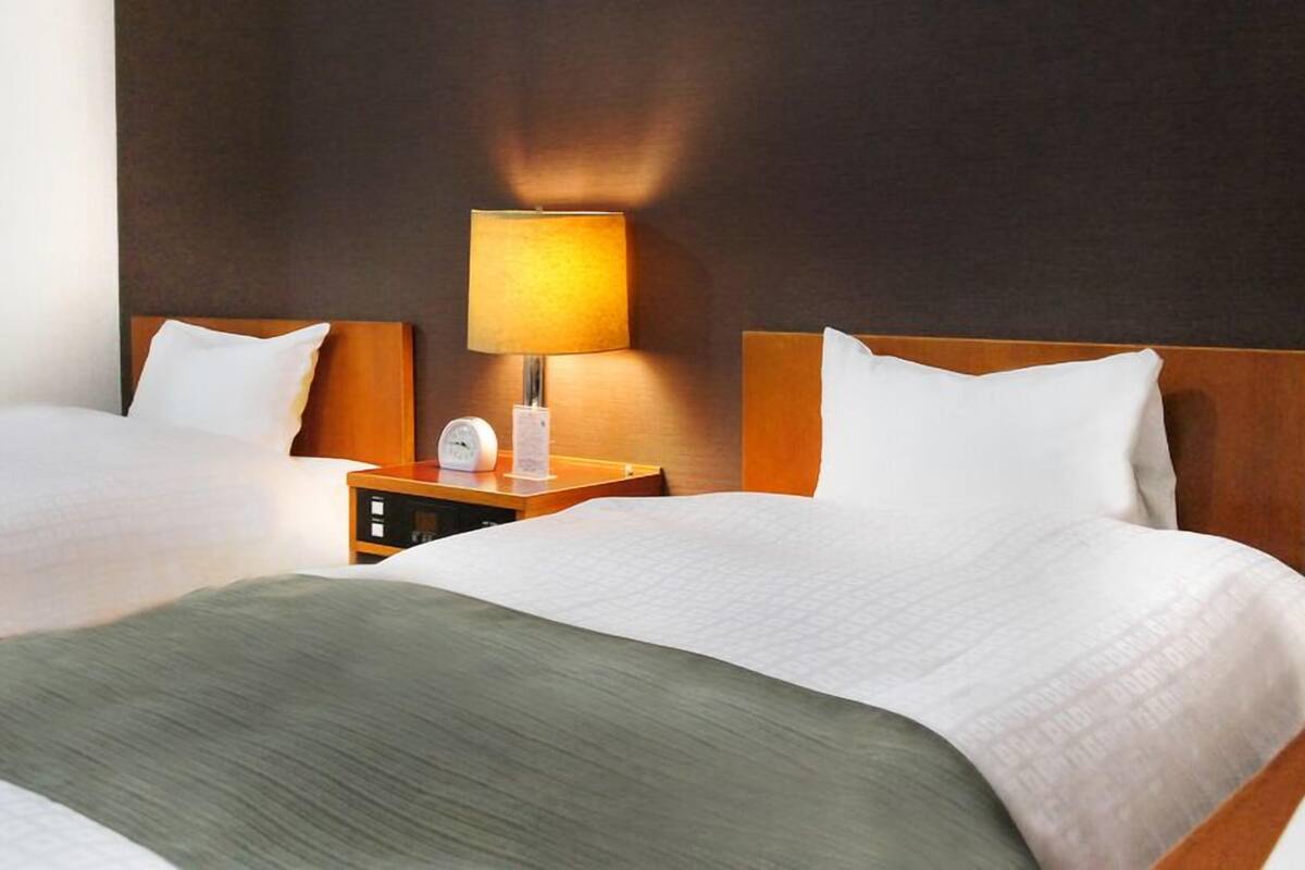 Couette en duvet d'oie, Wi-Fi gratuit