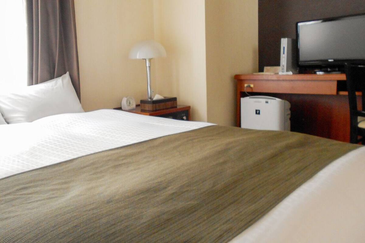 Couette en duvet d'oie, Wi-Fi gratuit