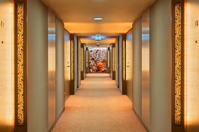 维也纳萨伏伊奥地利流行酒店