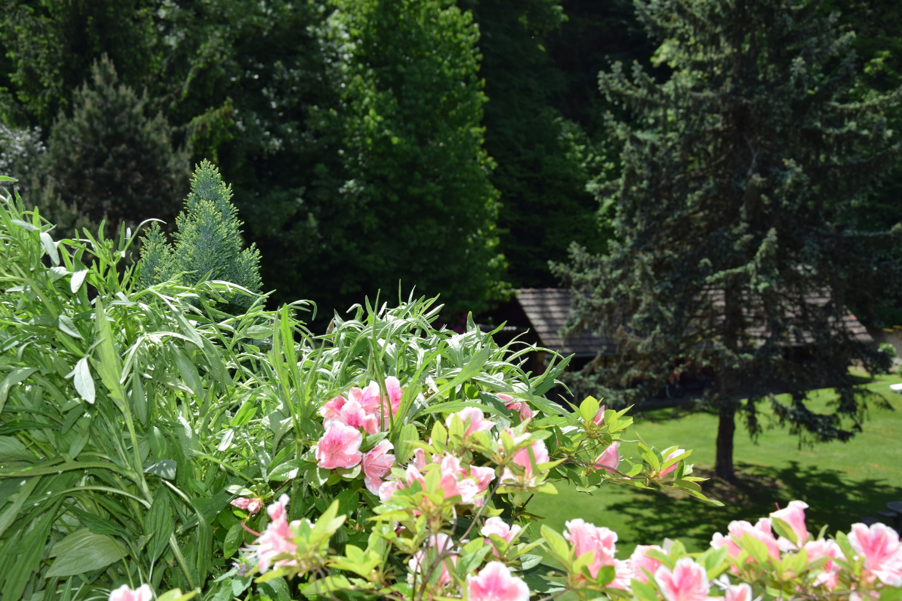 family penthouse, 4 bedrooms, terrace, garden view | garden