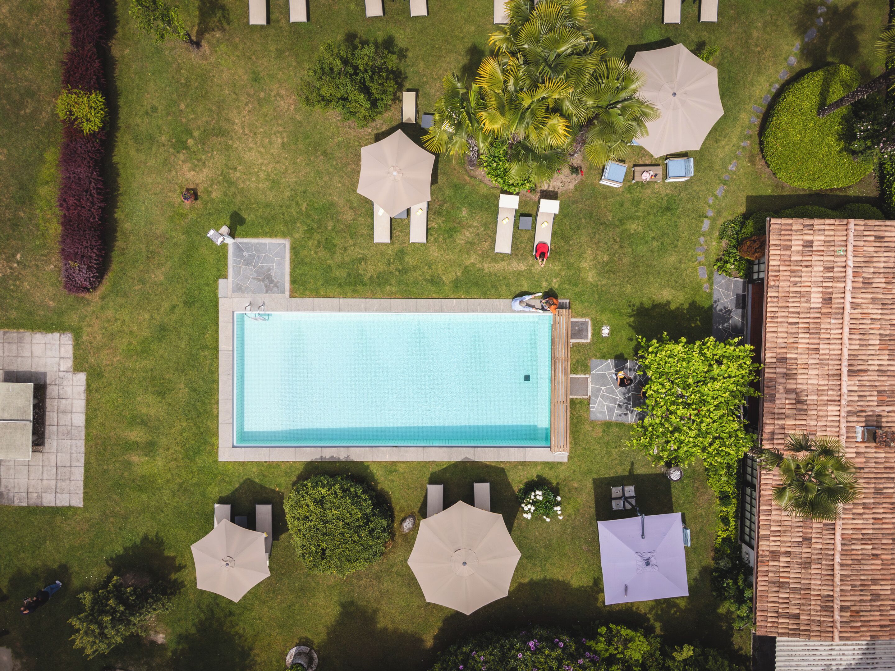 Una piscina al aire libre, sombrillas, sillones reclinables de piscina